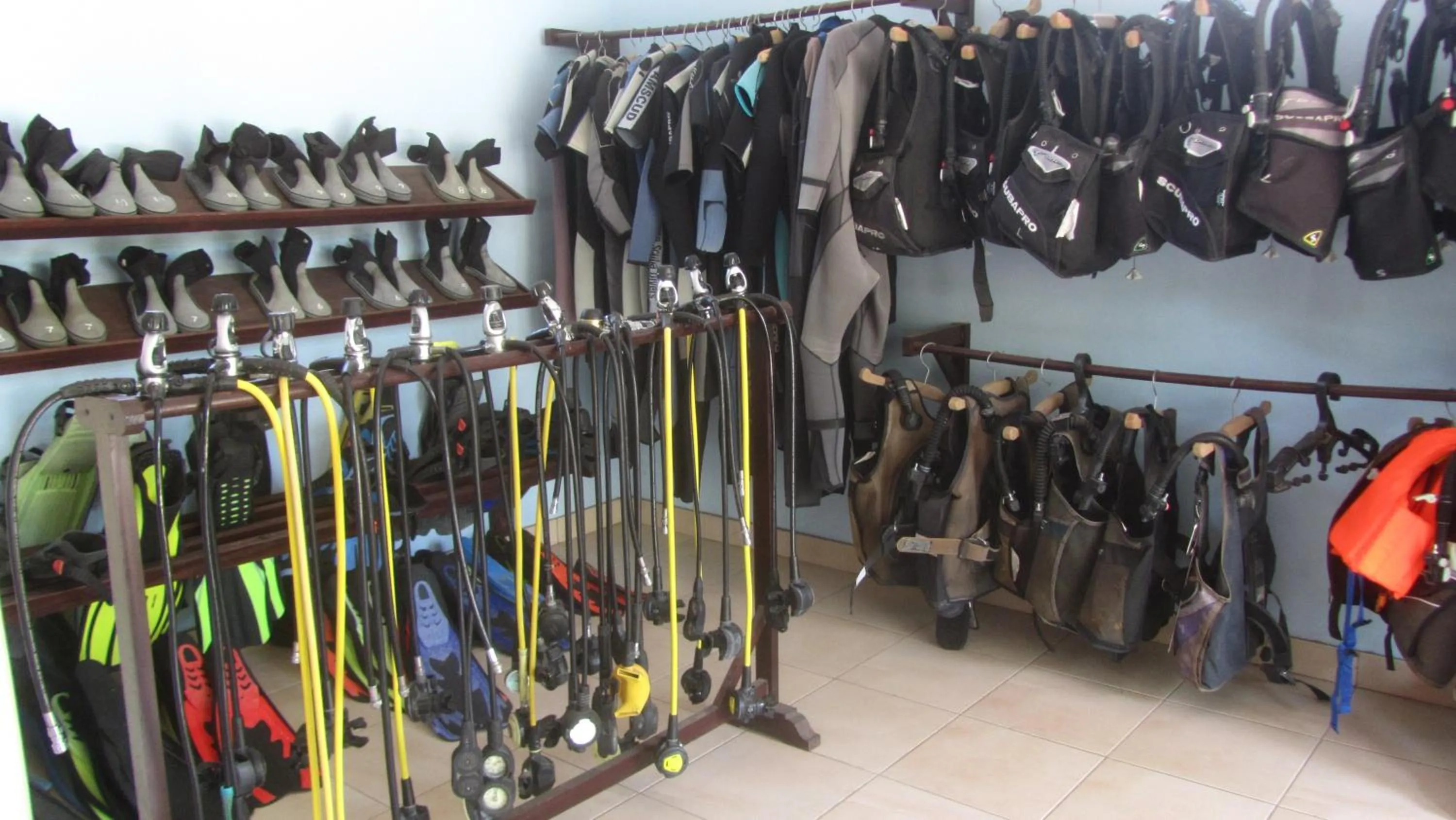 Diving in Trijaya Guest House Pemuteran