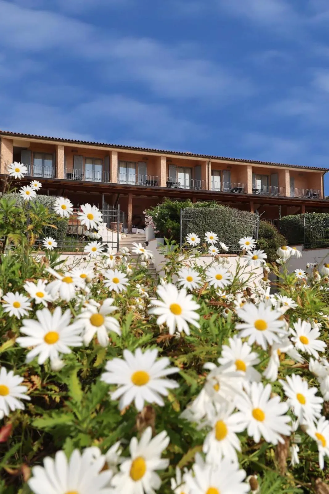 Property building in Hotel Palazzo Bello