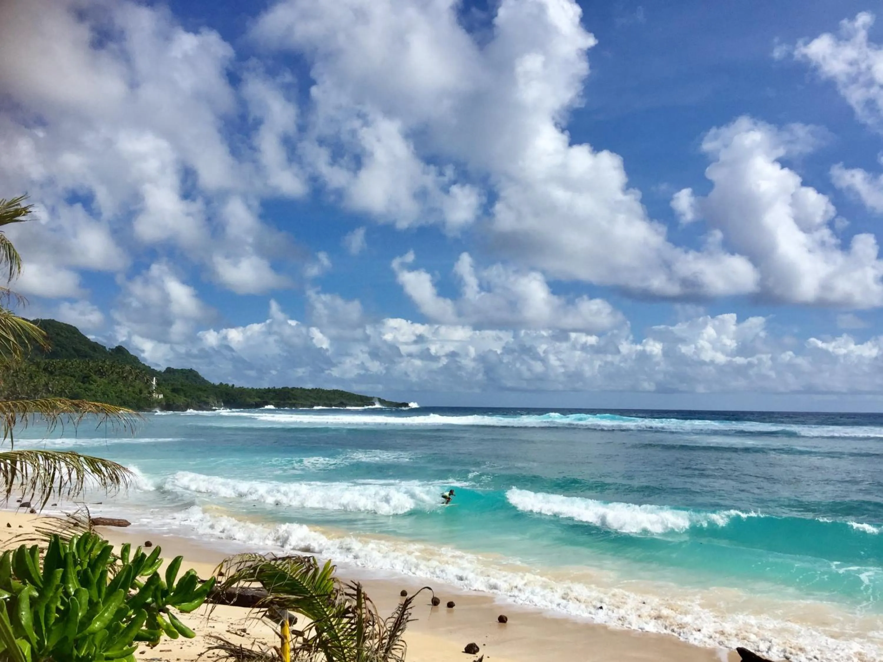 Beach in Bamboo Surf Beach
