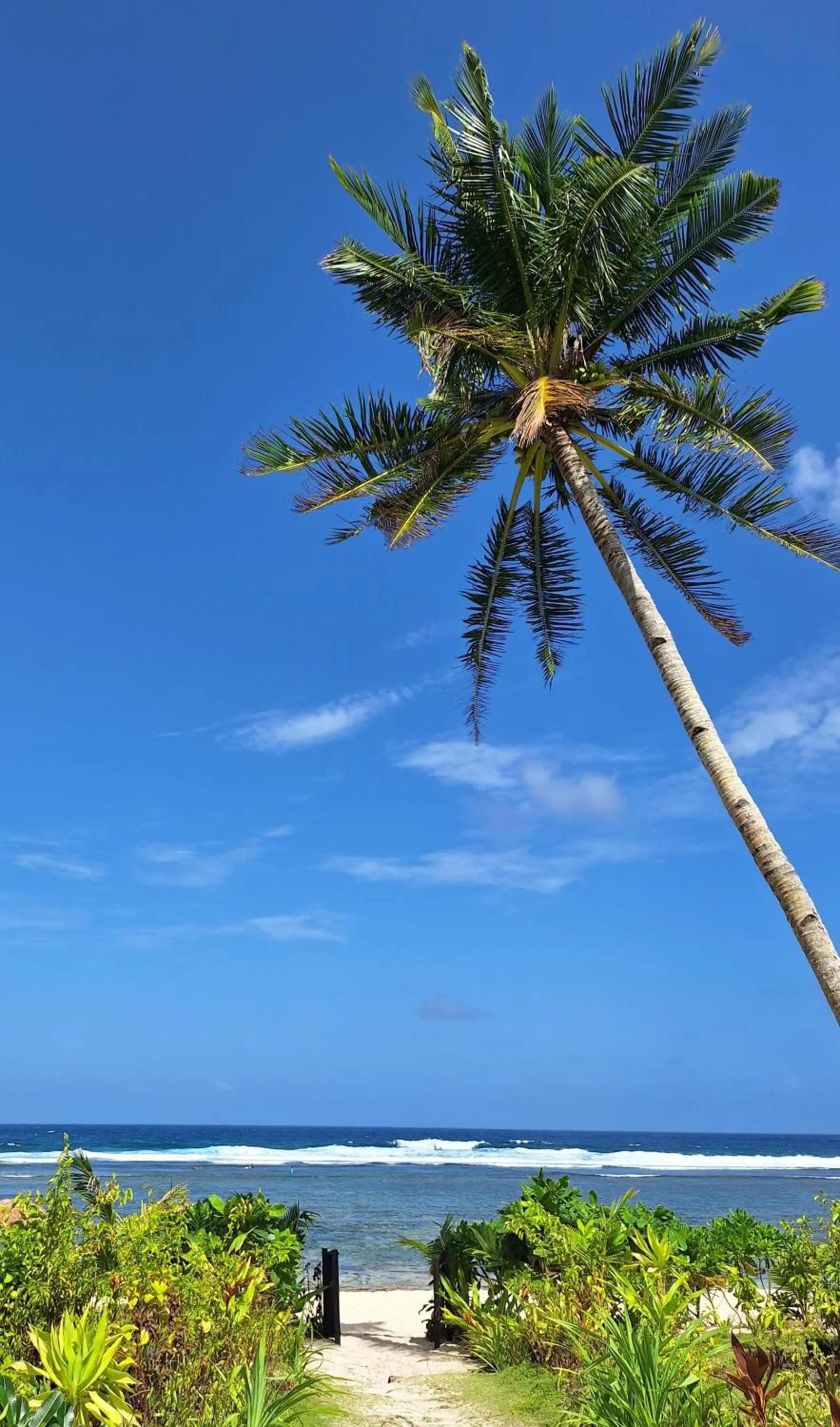Beach in Bamboo Surf Beach