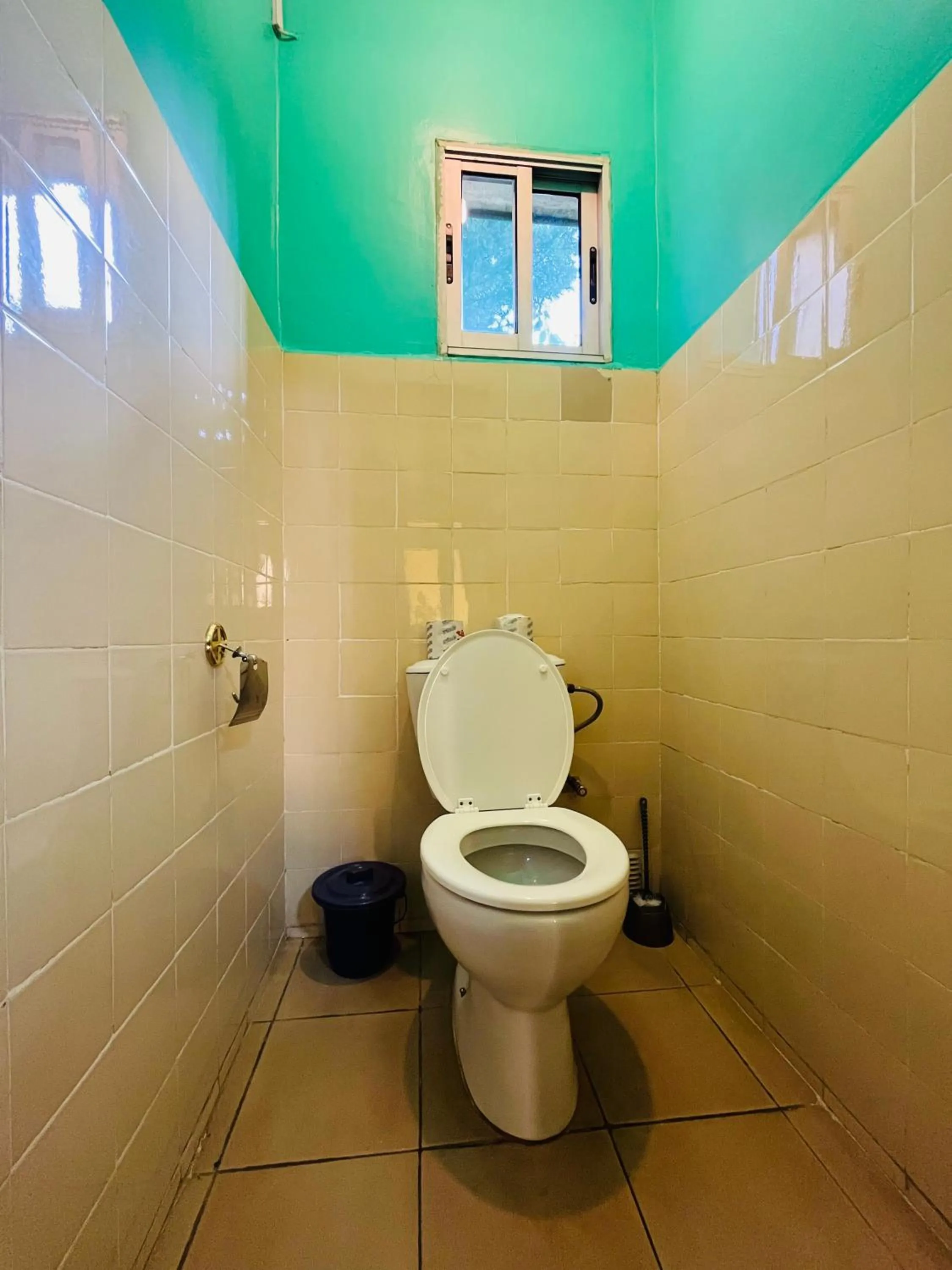 Toilet in Hôtel - Appartement meublé " LES FLOTS BLEU "