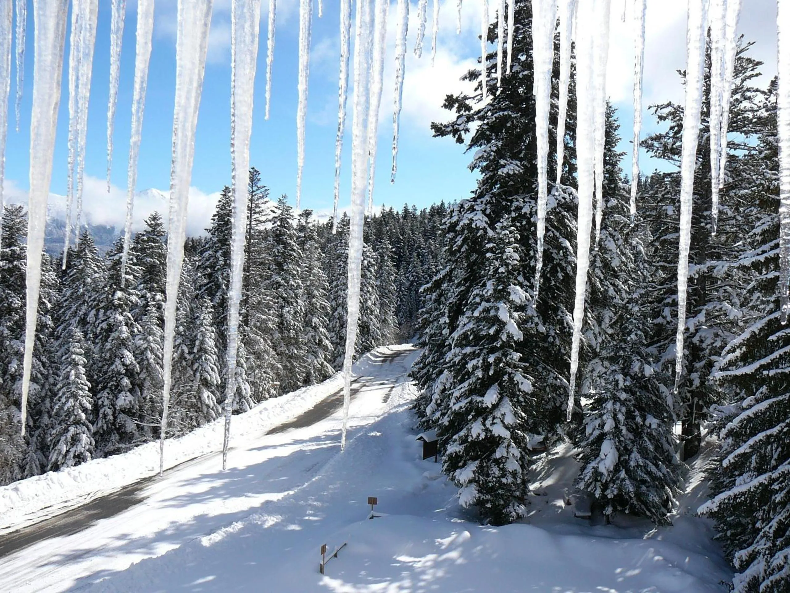 Natural landscape in Hotel - Restaurant Le Blanchon