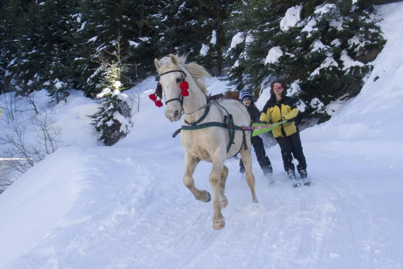 Hotel - Restaurant Le Blanchon
