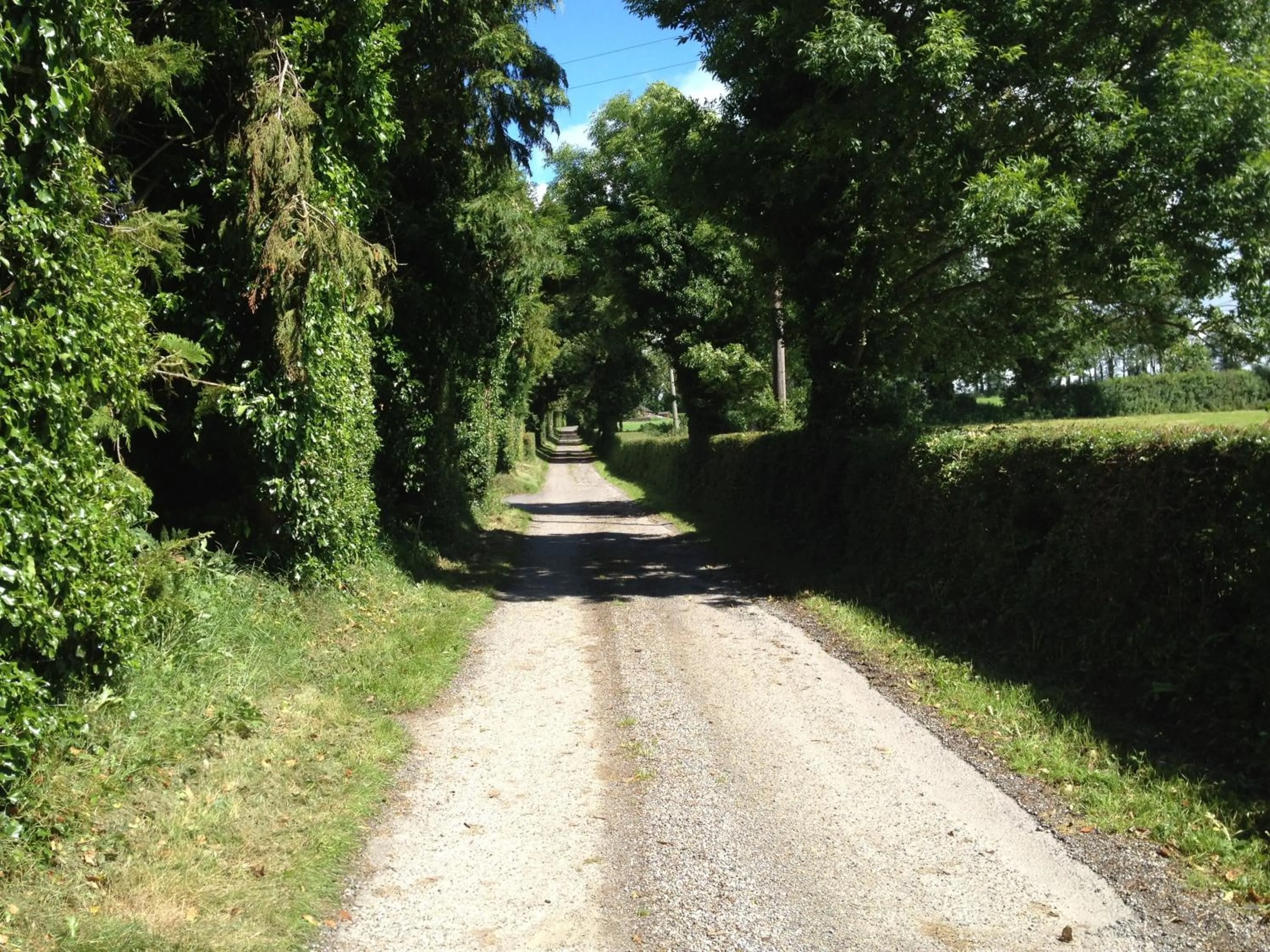 Day in Ballindrum Farm B&B