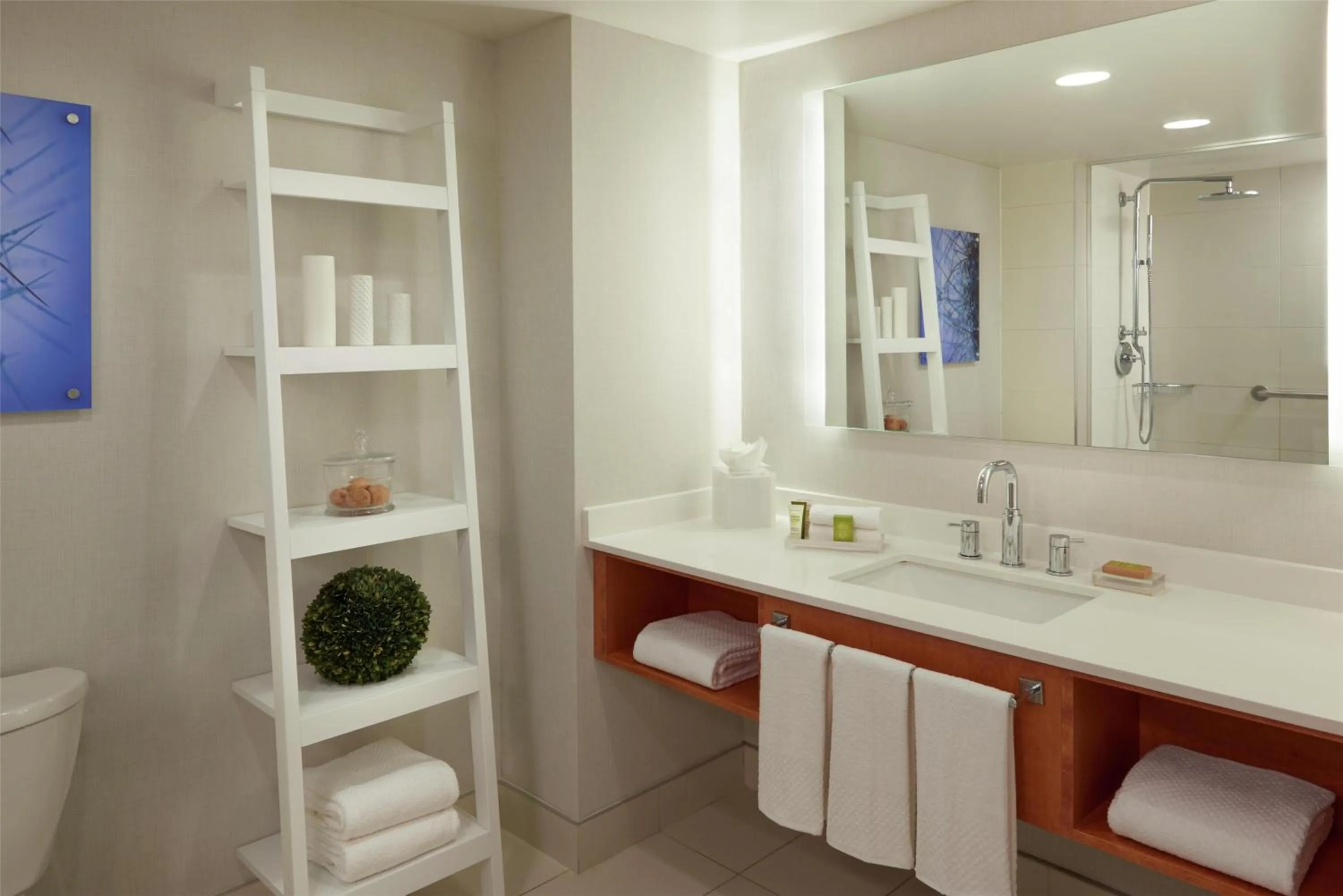 Bathroom in Hilton Toronto Airport Hotel & Suites