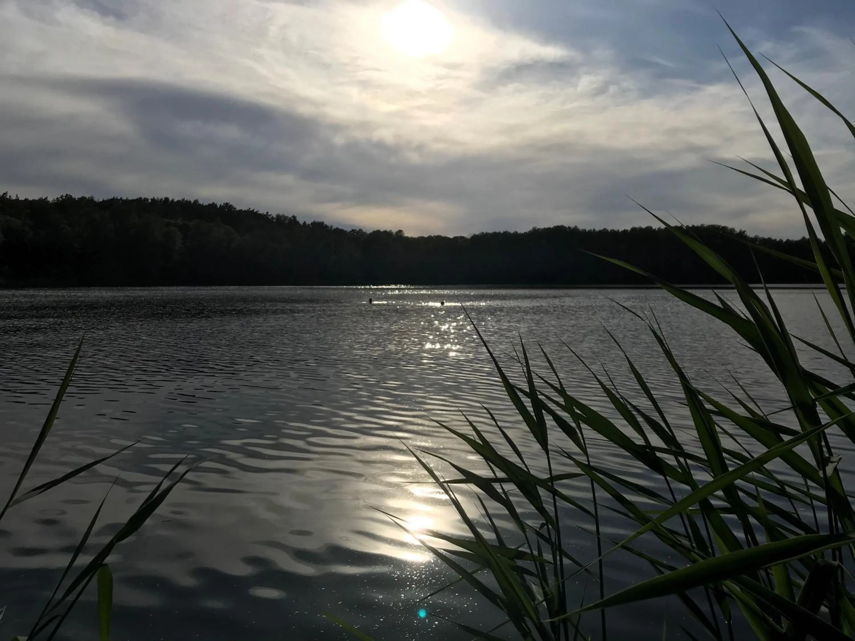 Beach in Bellevue Gastgeberei