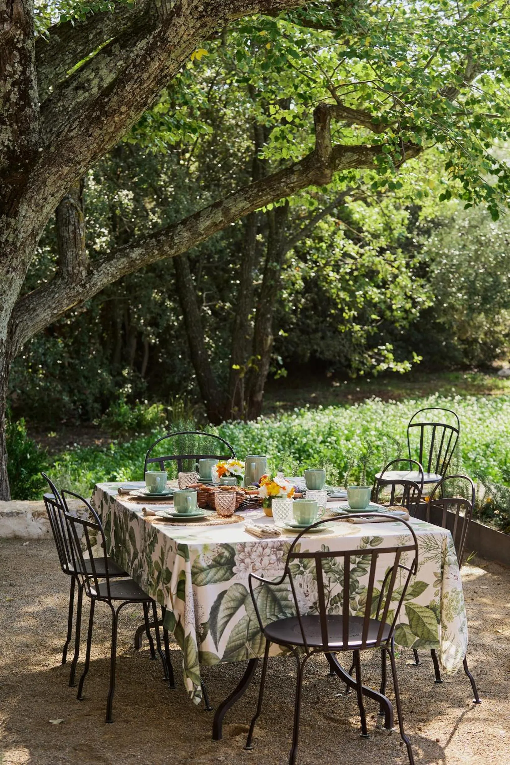 Balcony/Terrace in Château de Berne