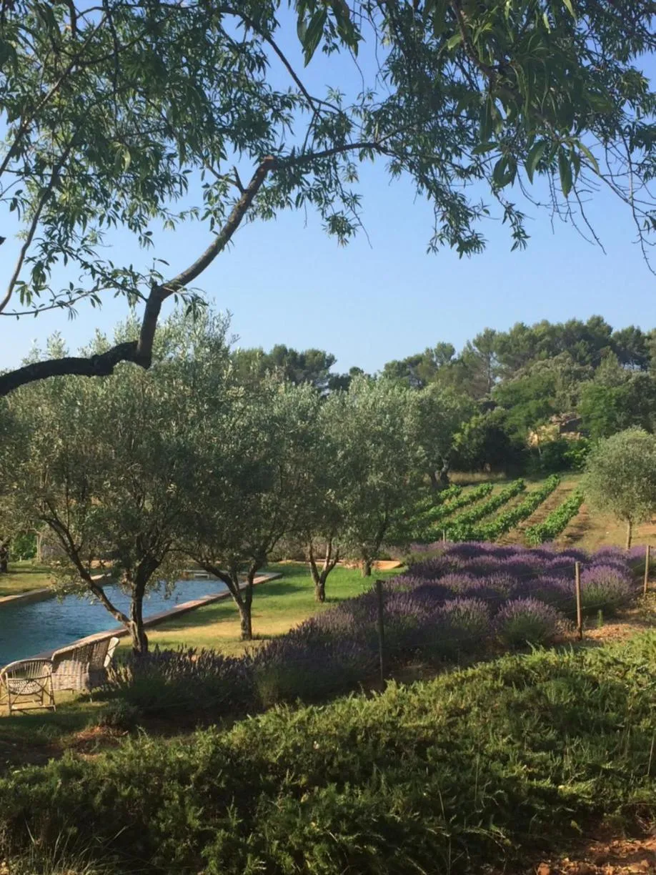 Garden in Château de Berne