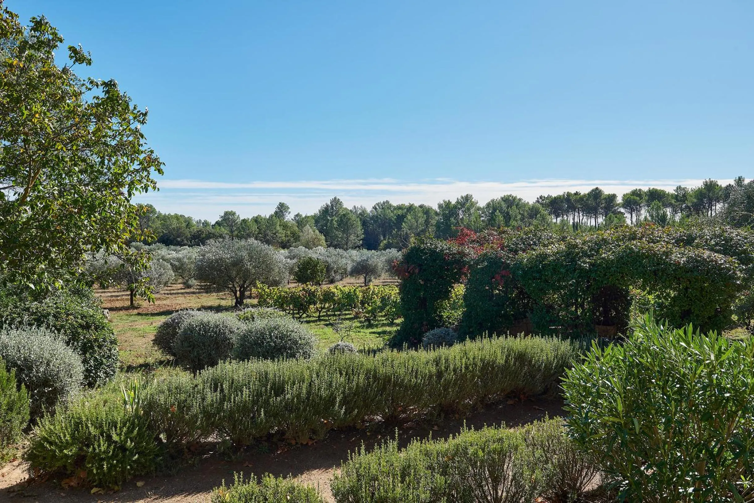 Natural landscape in Château de Berne