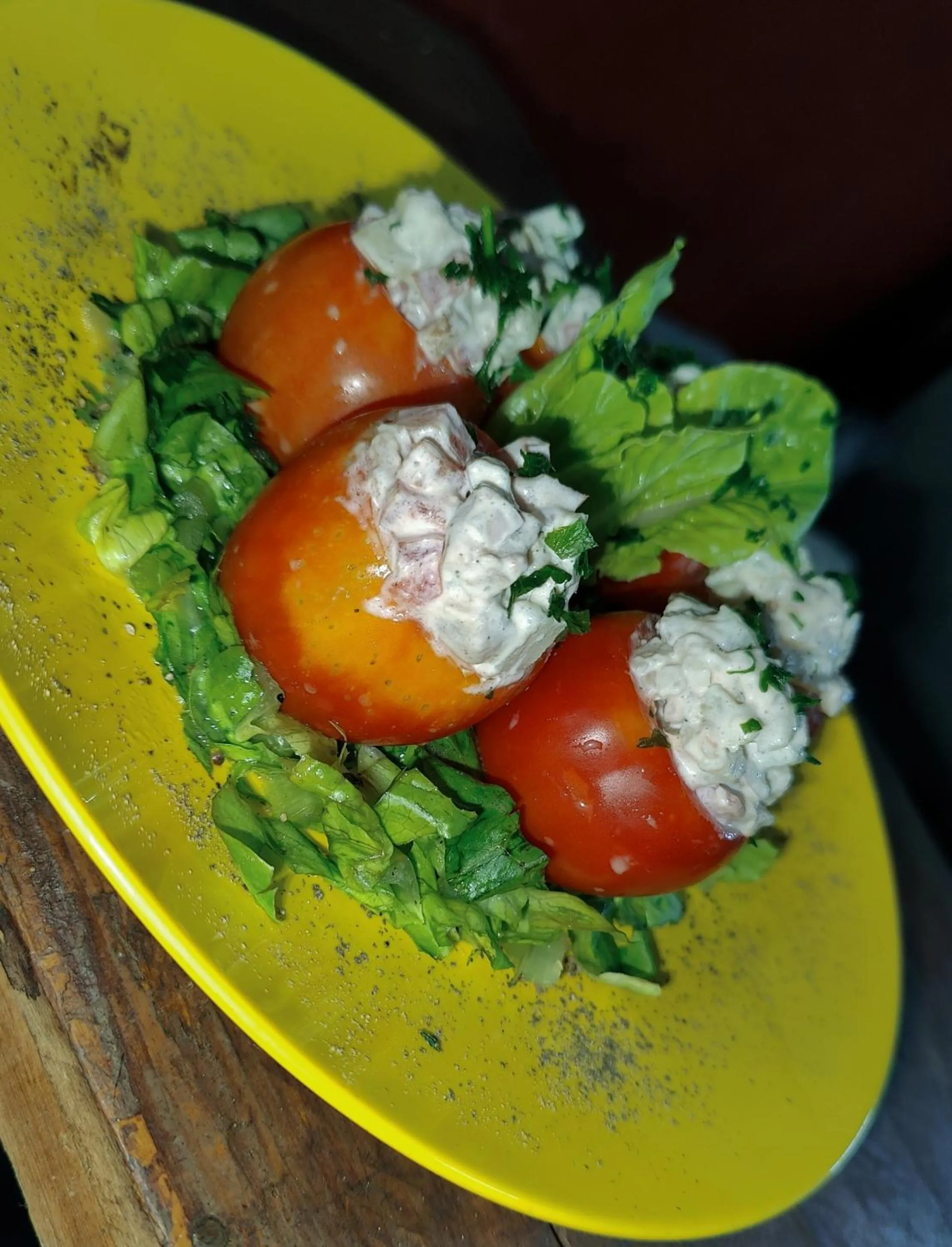 Bungalows des tropiques