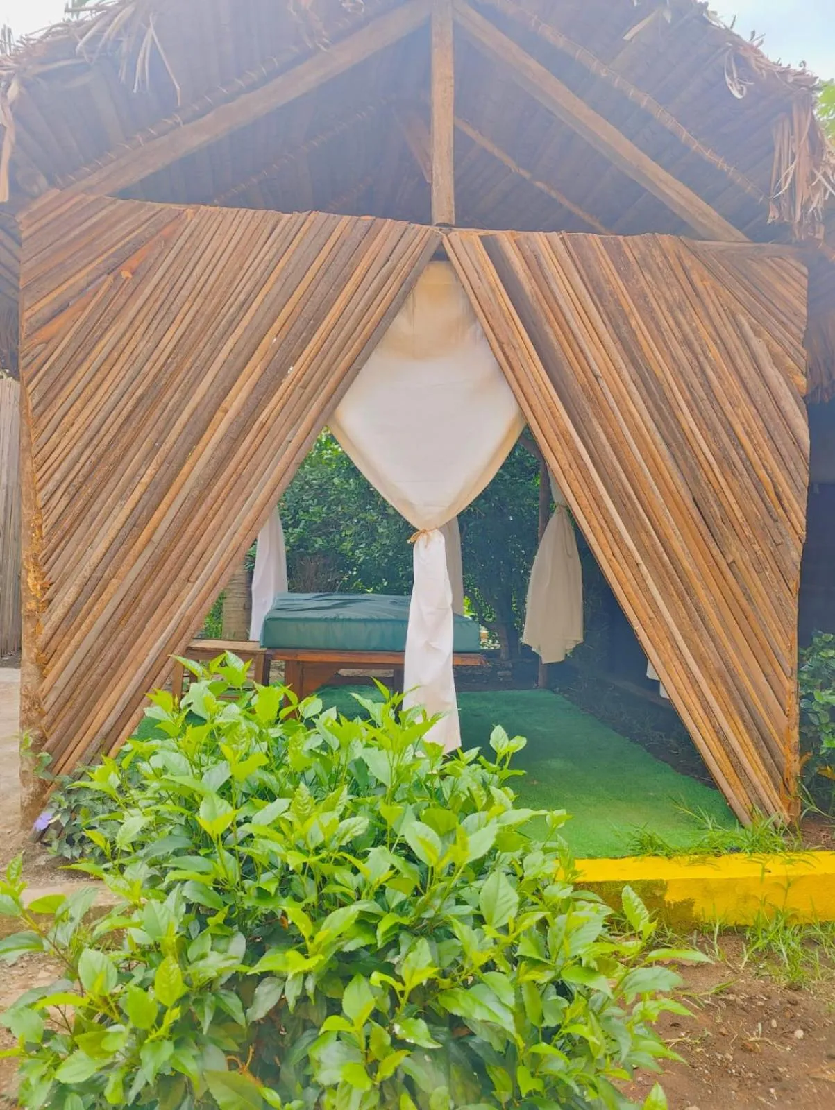 Bungalows des tropiques