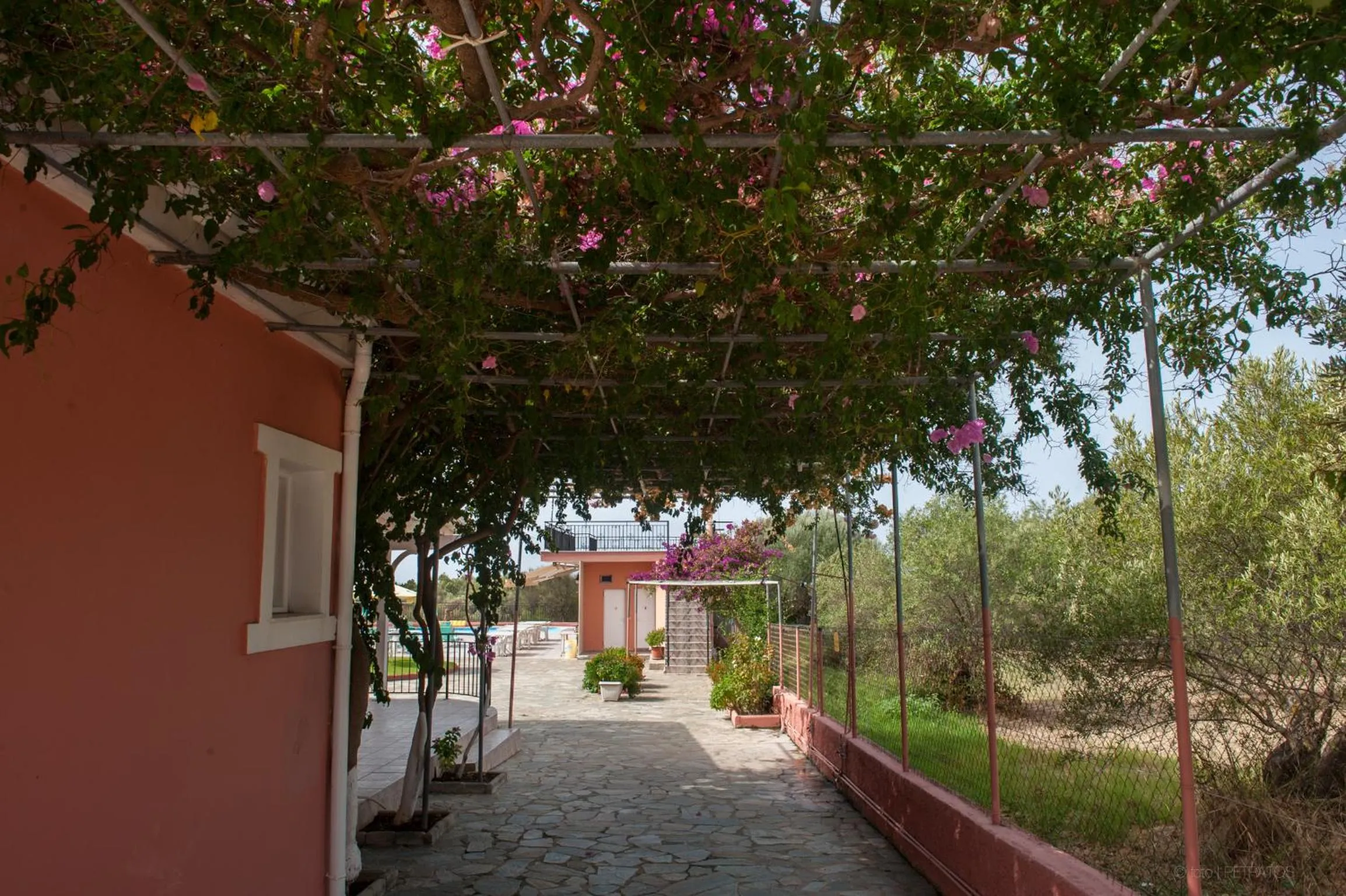 Garden view in Paradise Studios