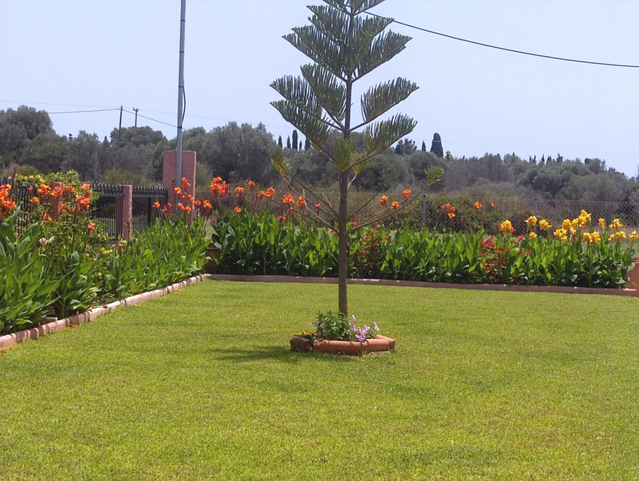 Garden view in Paradise Studios