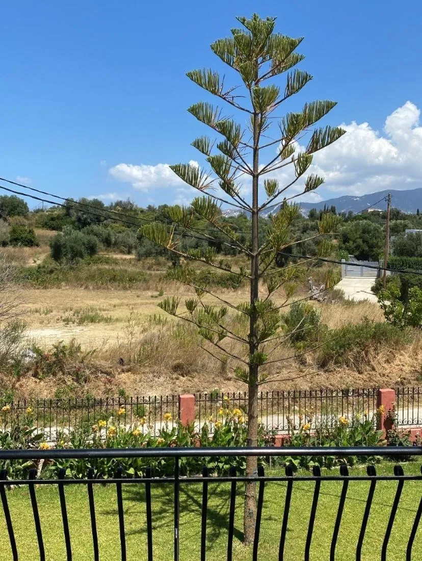 Natural landscape in Paradise Studios