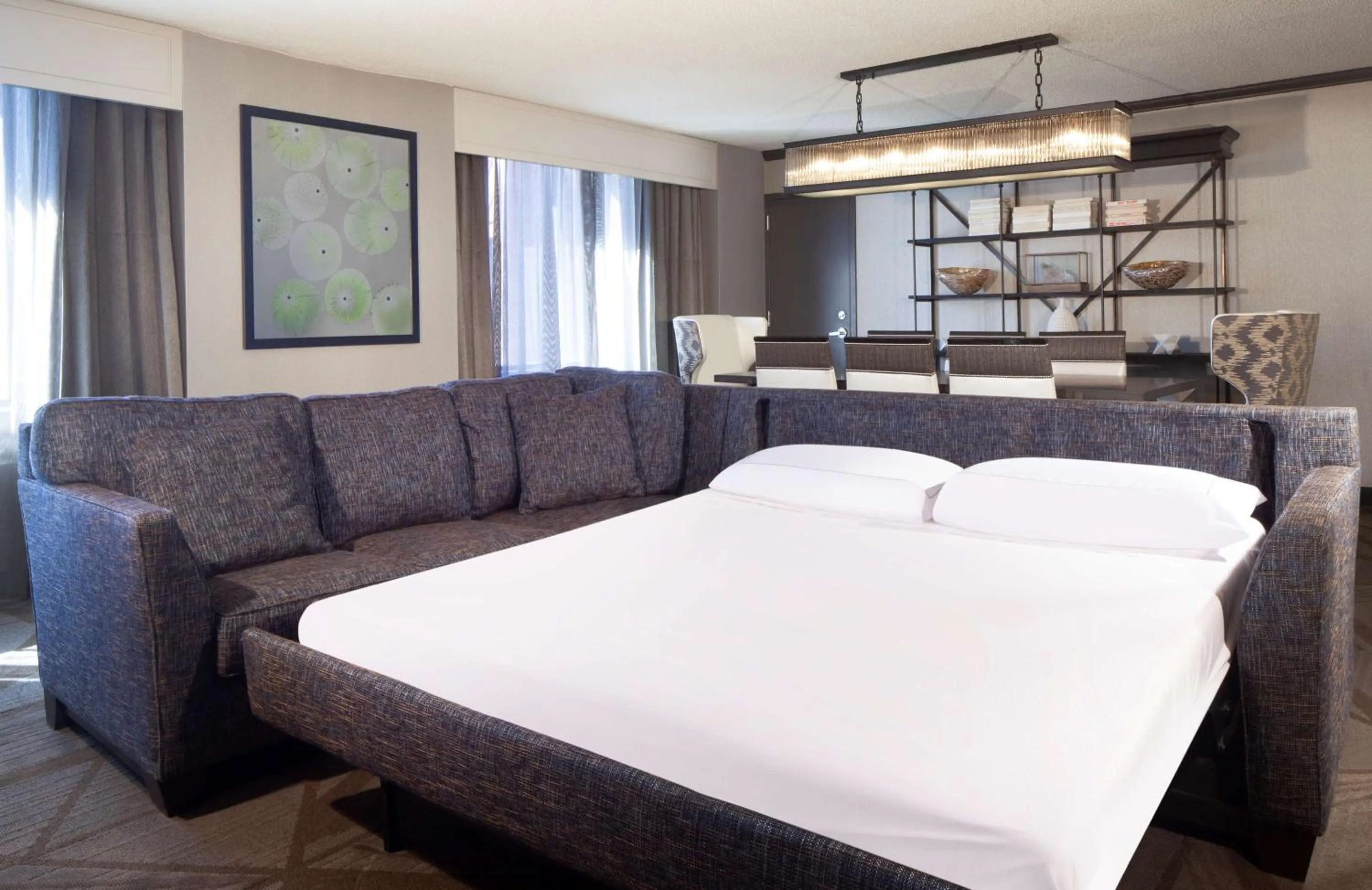 Living room, Bed in Hilton Parsippany