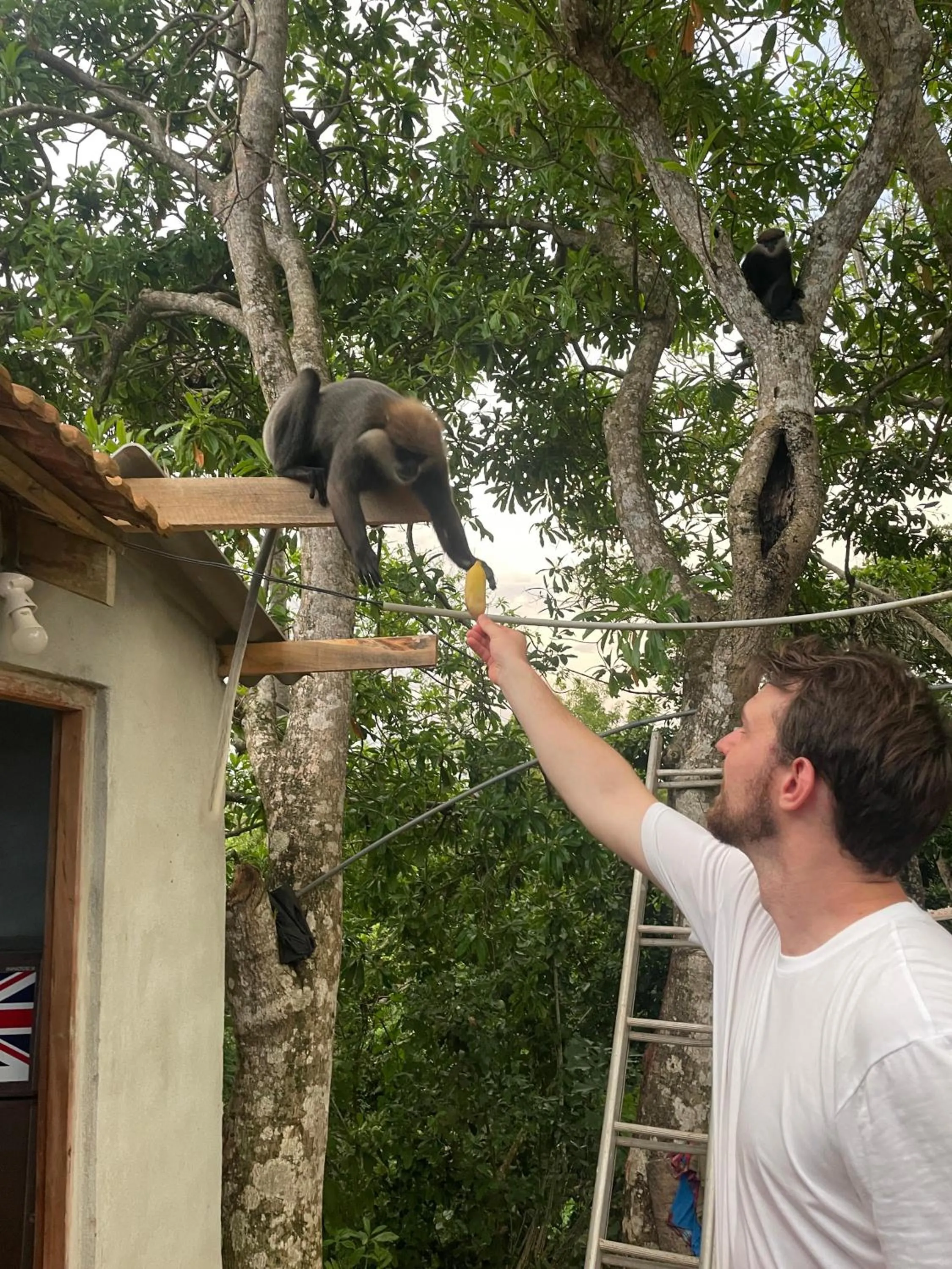 Natural landscape in Sky Mountain Café with seaview