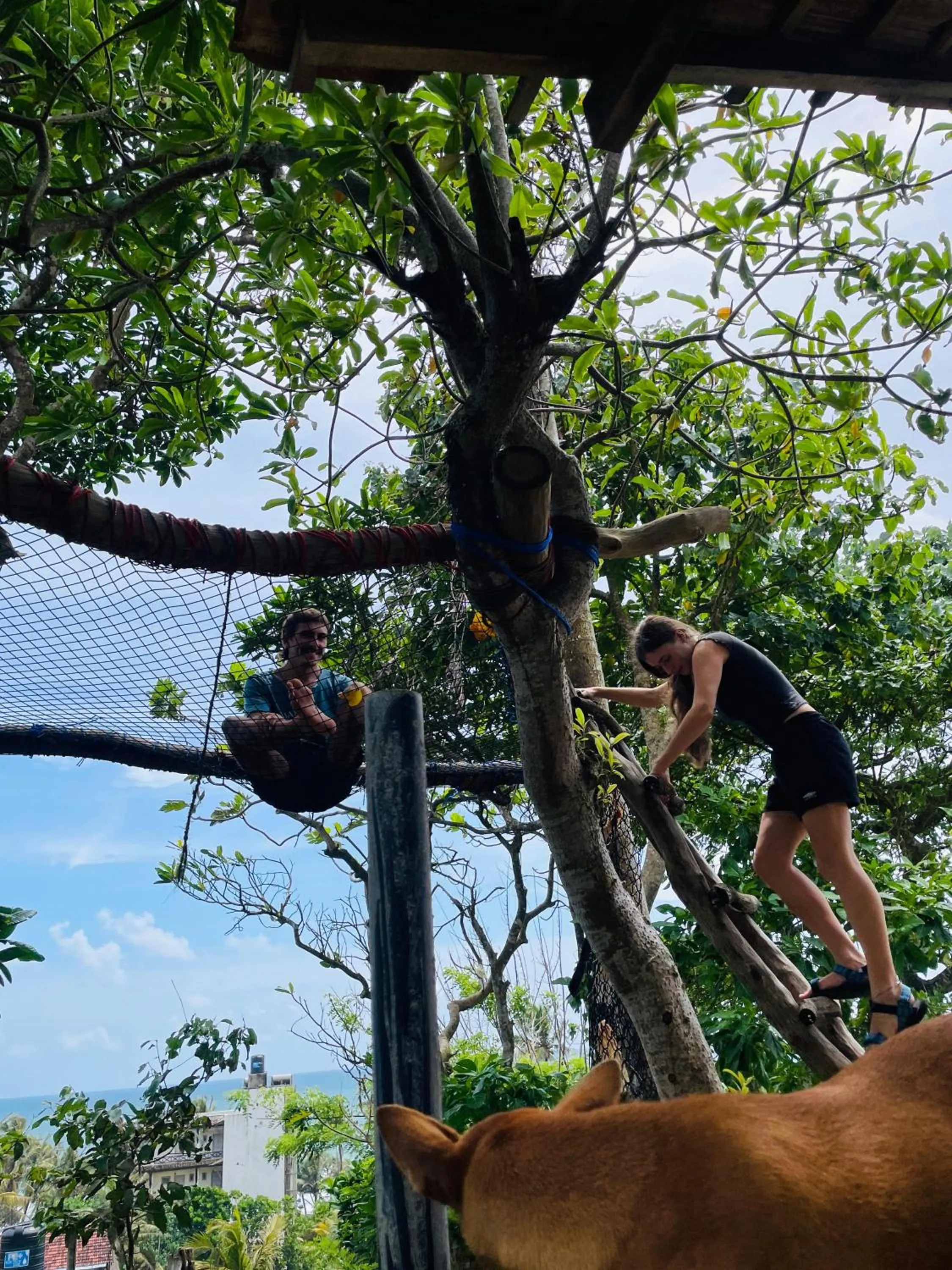 Natural landscape in Sky Mountain Café with seaview