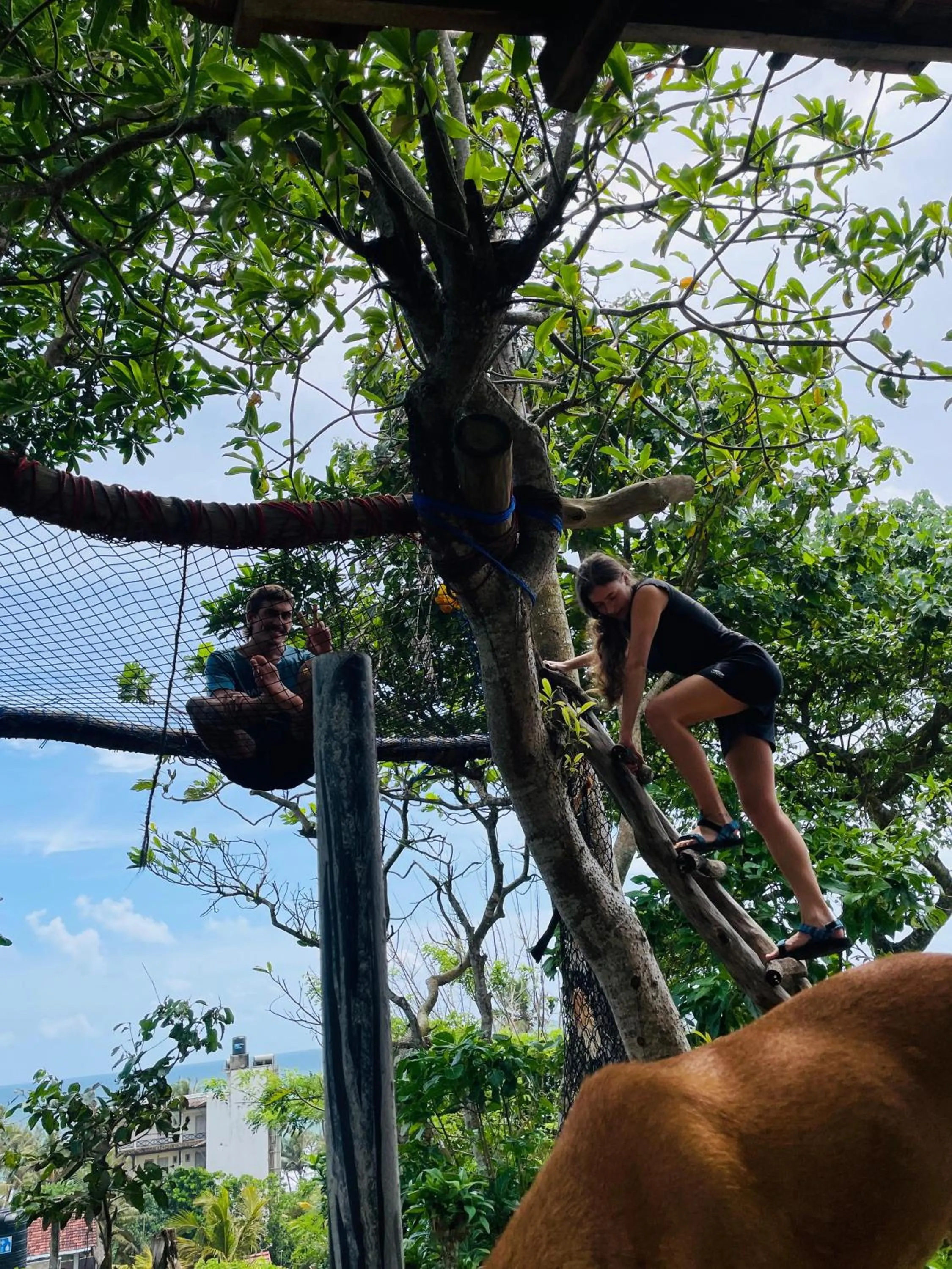 Garden in Sky Mountain Café with seaview