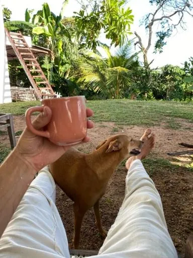 Garden in Sky Mountain Café with seaview