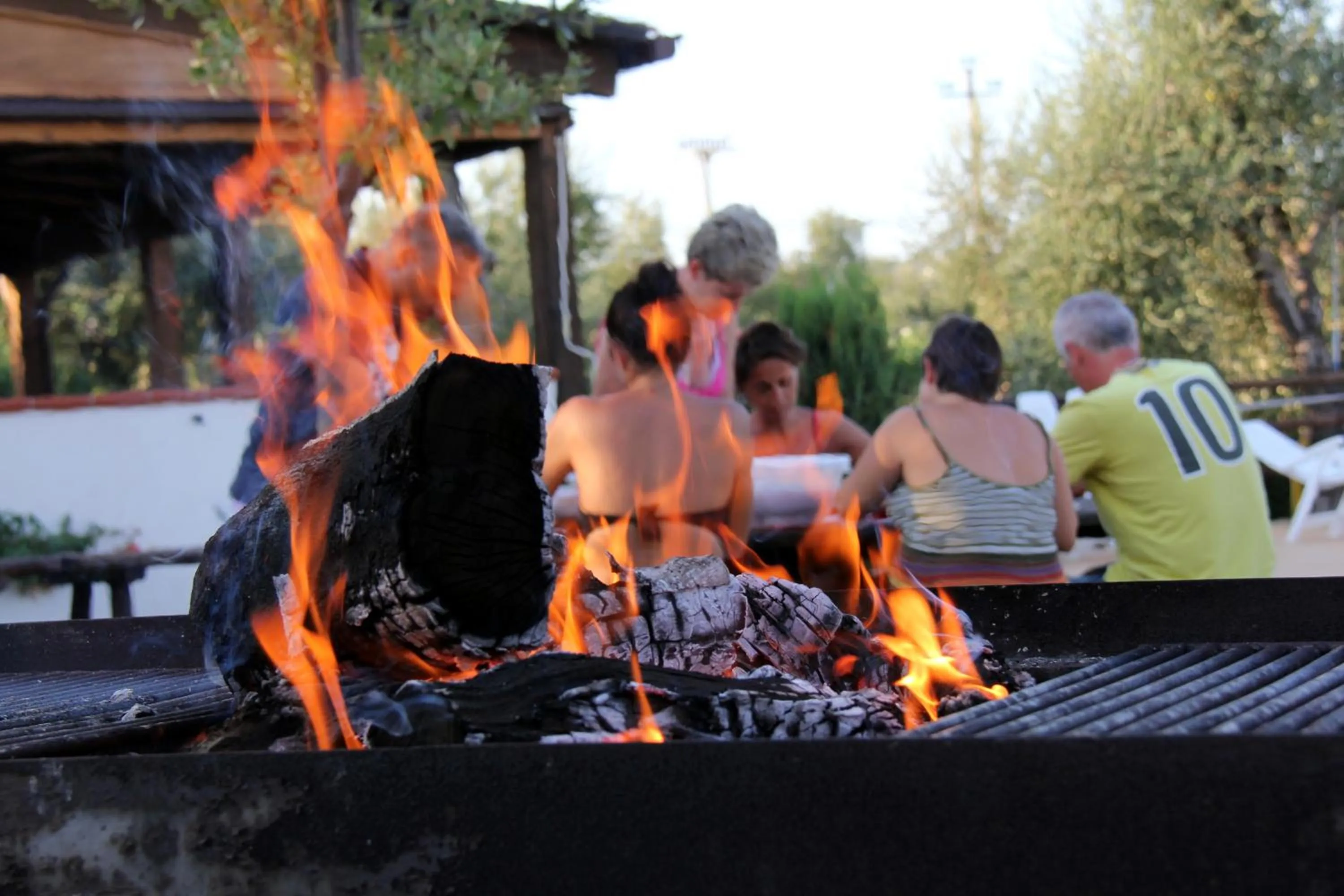 Entertainment in Residence Villantica