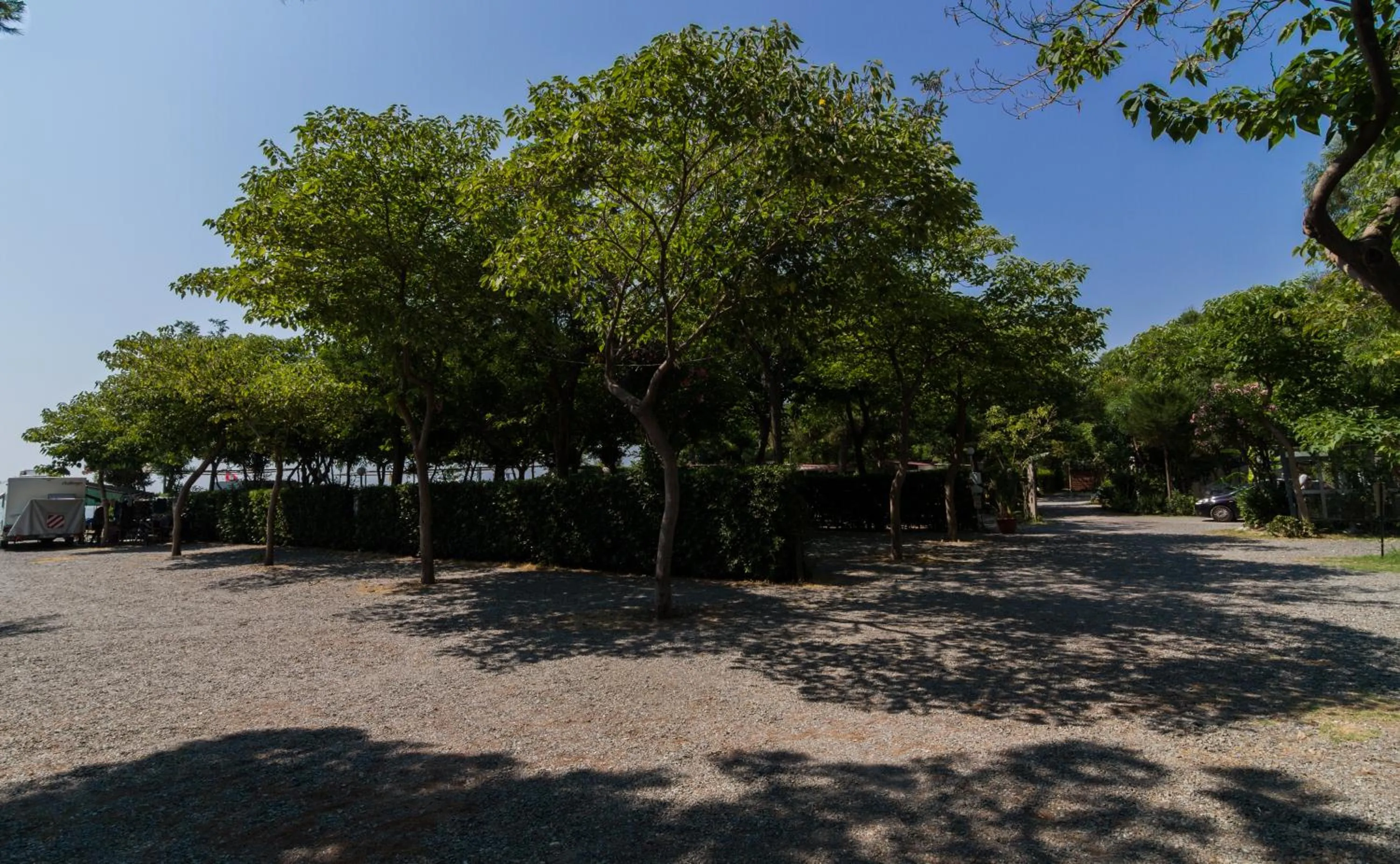 Garden in Camping La Focetta Sicula