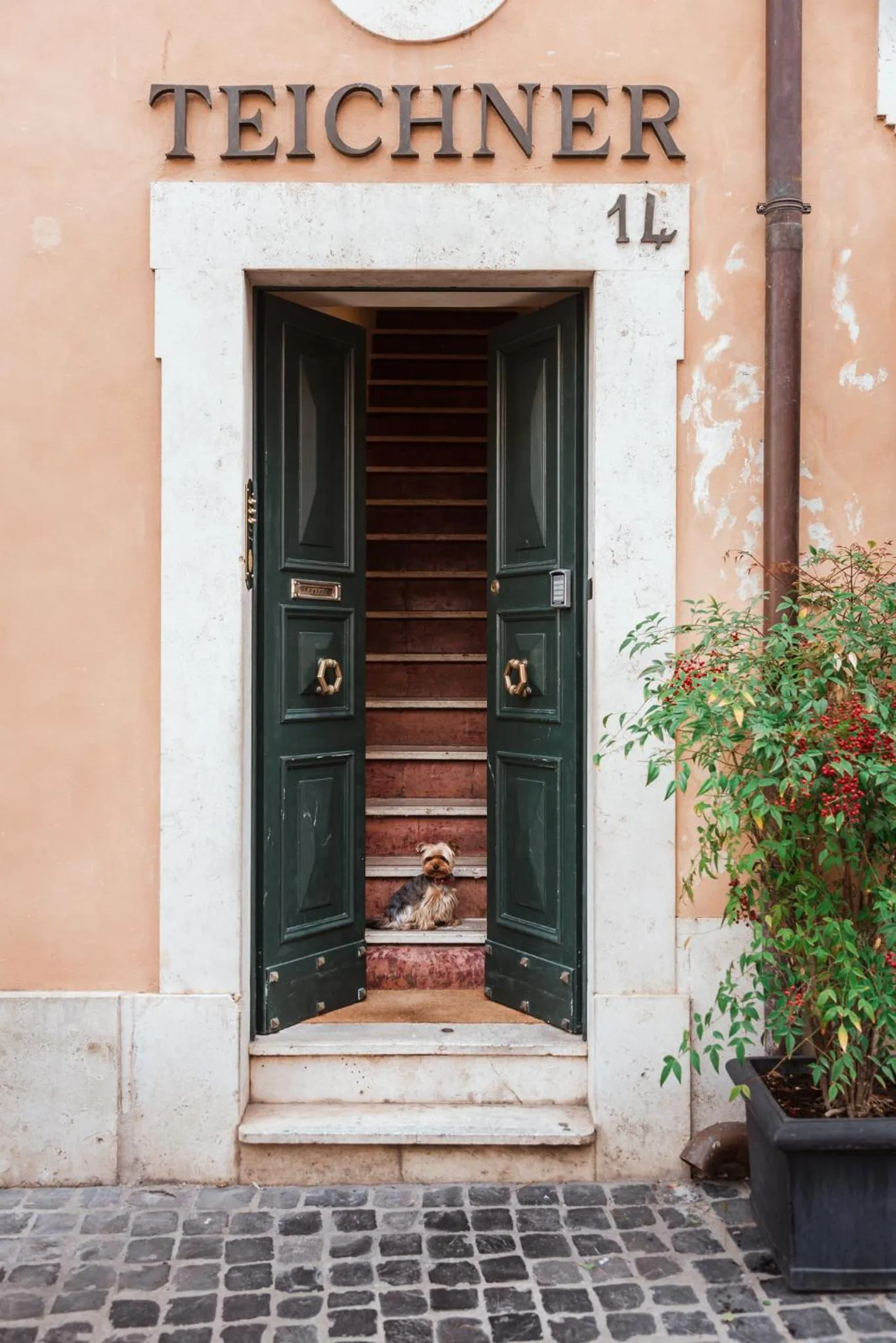 Facade/entrance in Teichnersuite