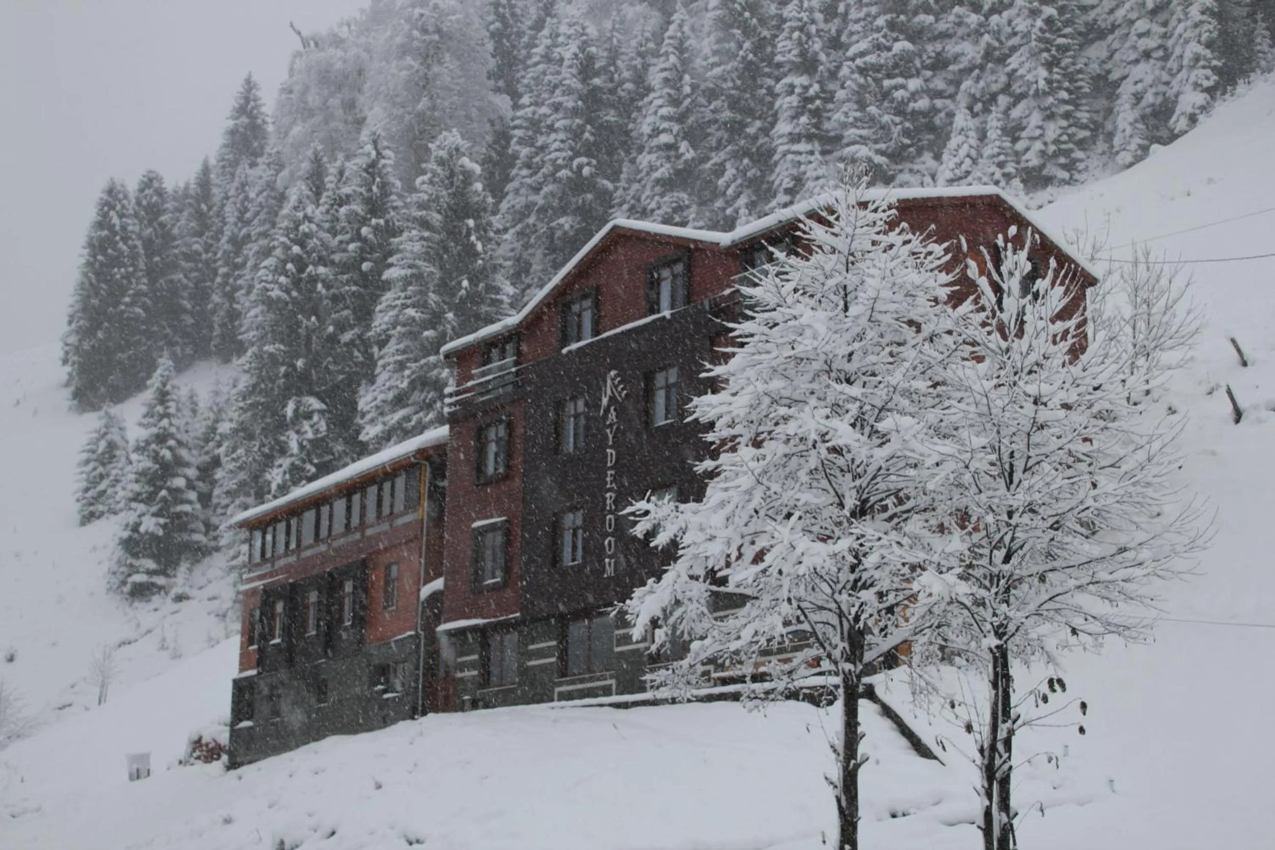 Facade/entrance in Ayderoom Hotel