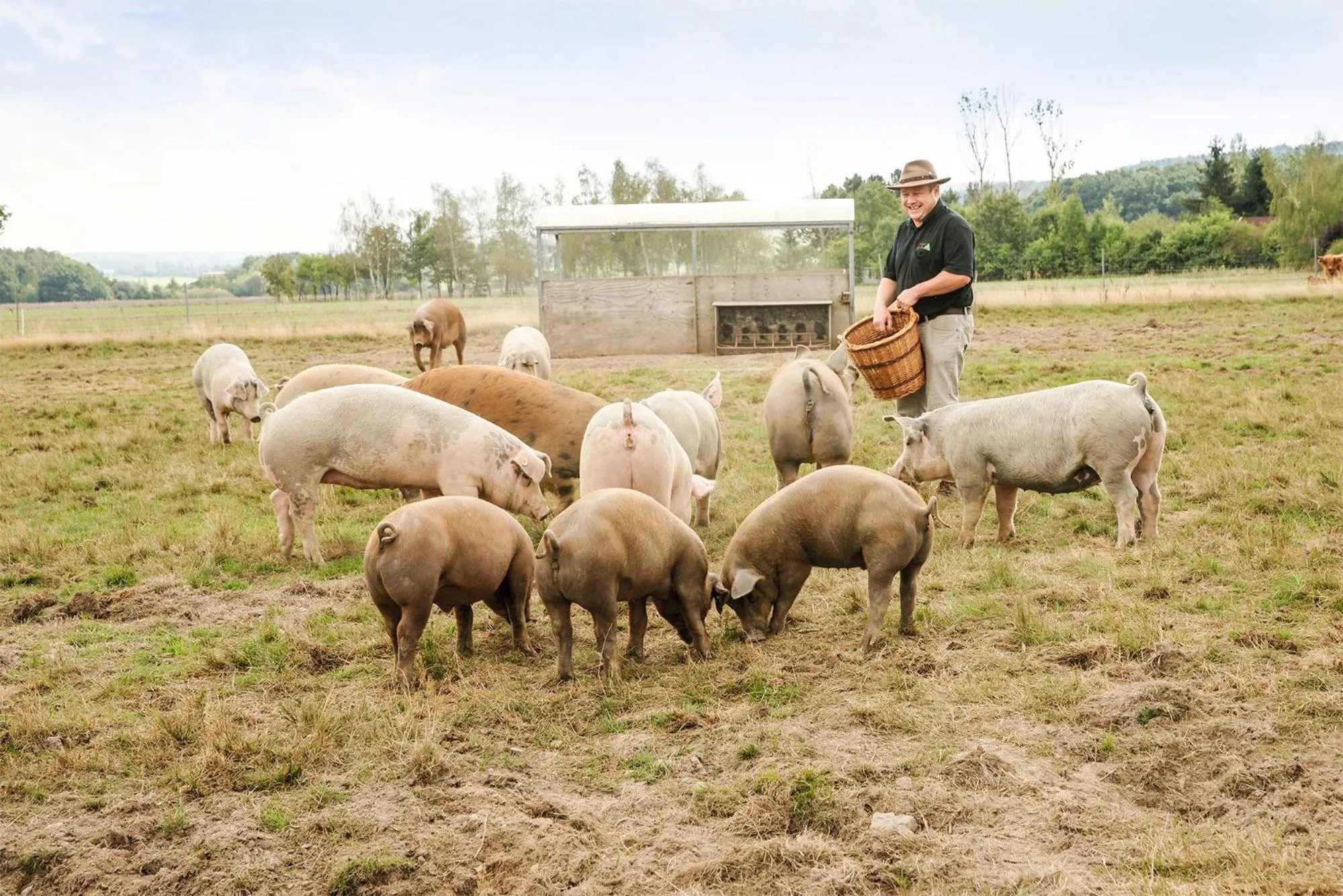 Landgasthof Zur Tanne