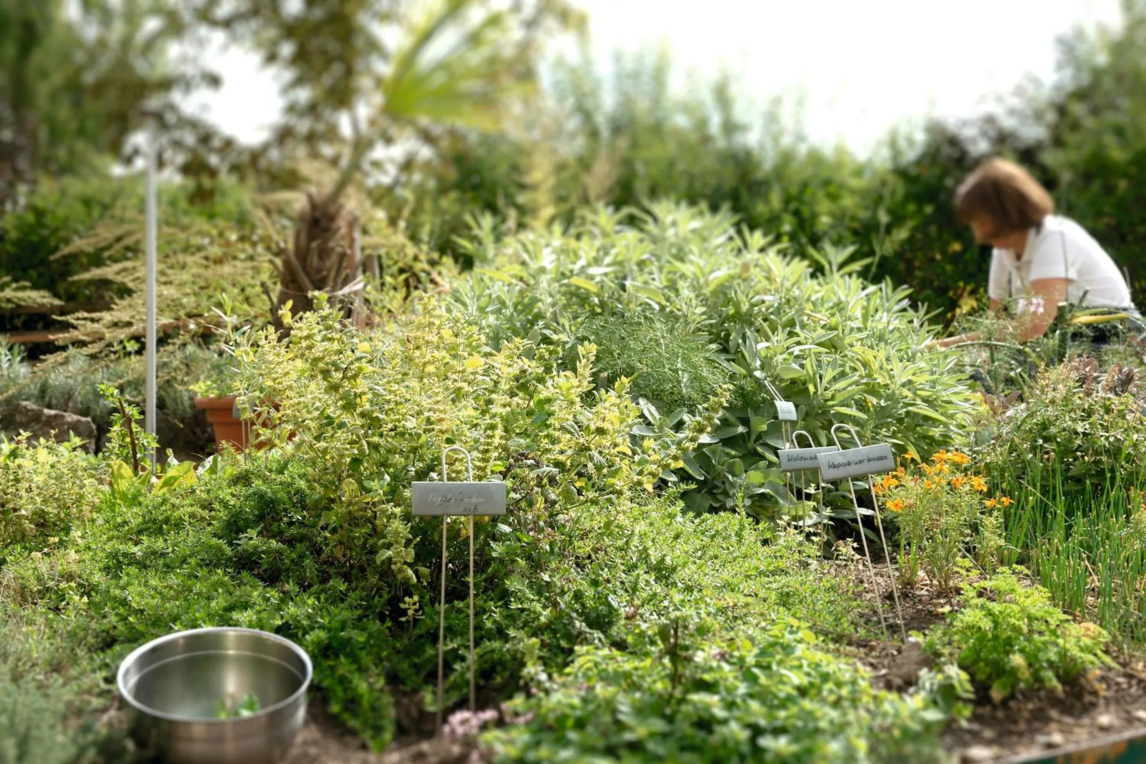 Other in Landgasthof Zur Tanne