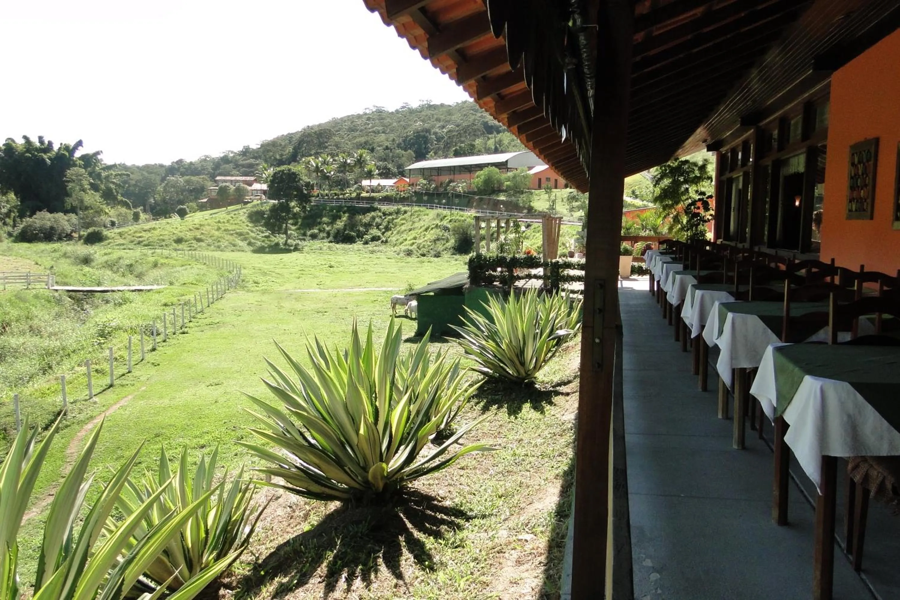 Dining area in Hotel dos Bretões