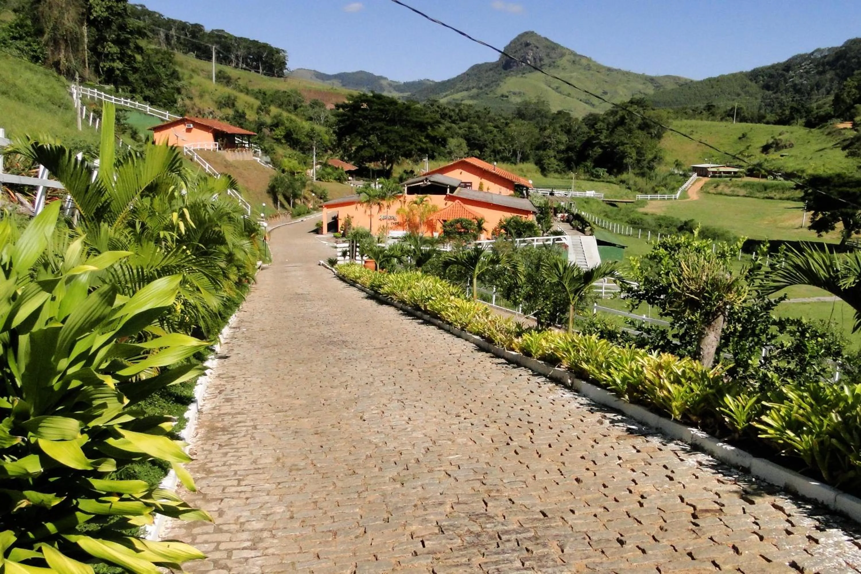 Garden in Hotel dos Bretões