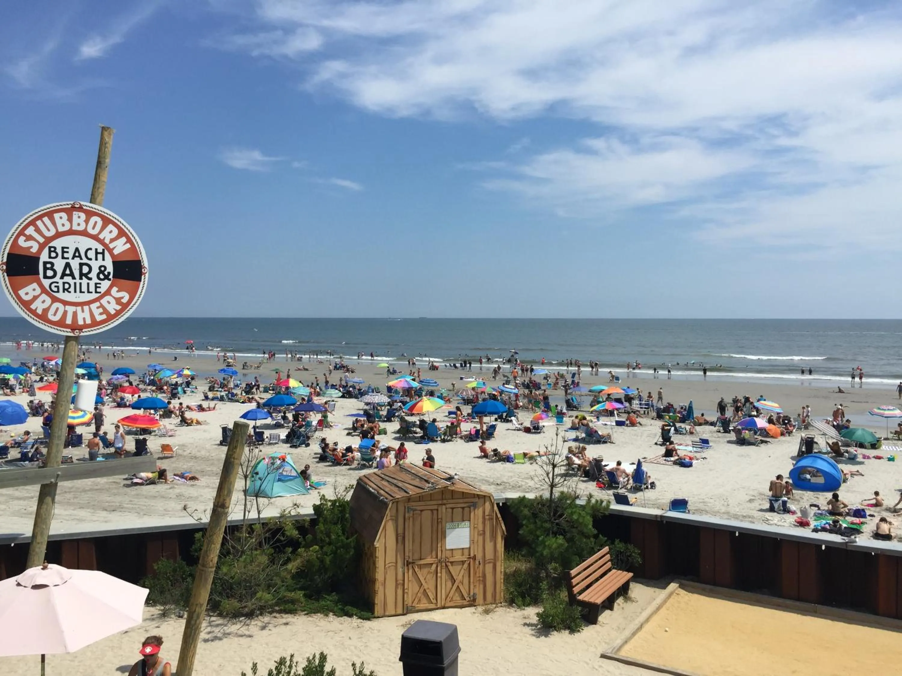 Beach in Sandy Shores Resort