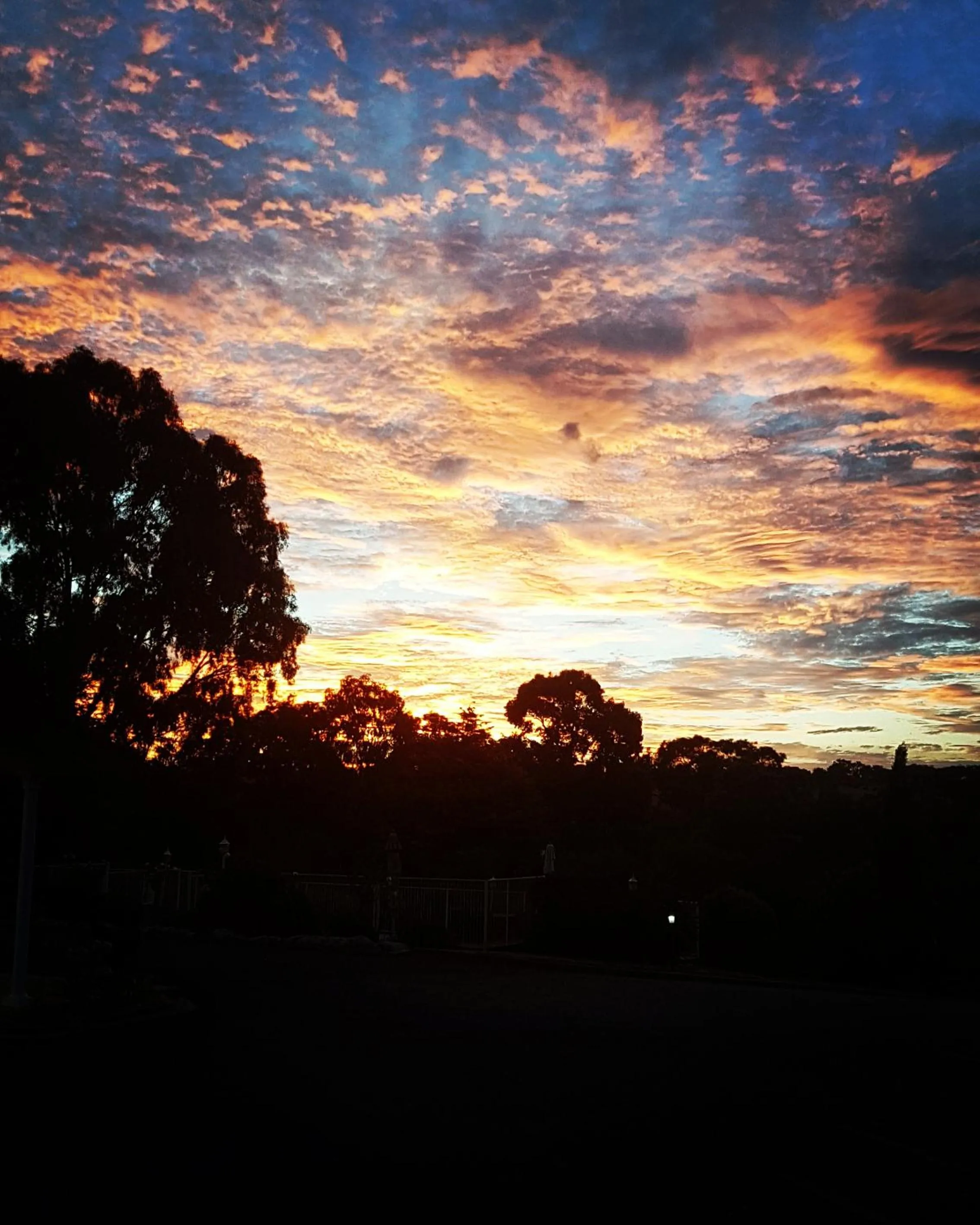 Natural landscape in Hilltops Retreat Motor Inn