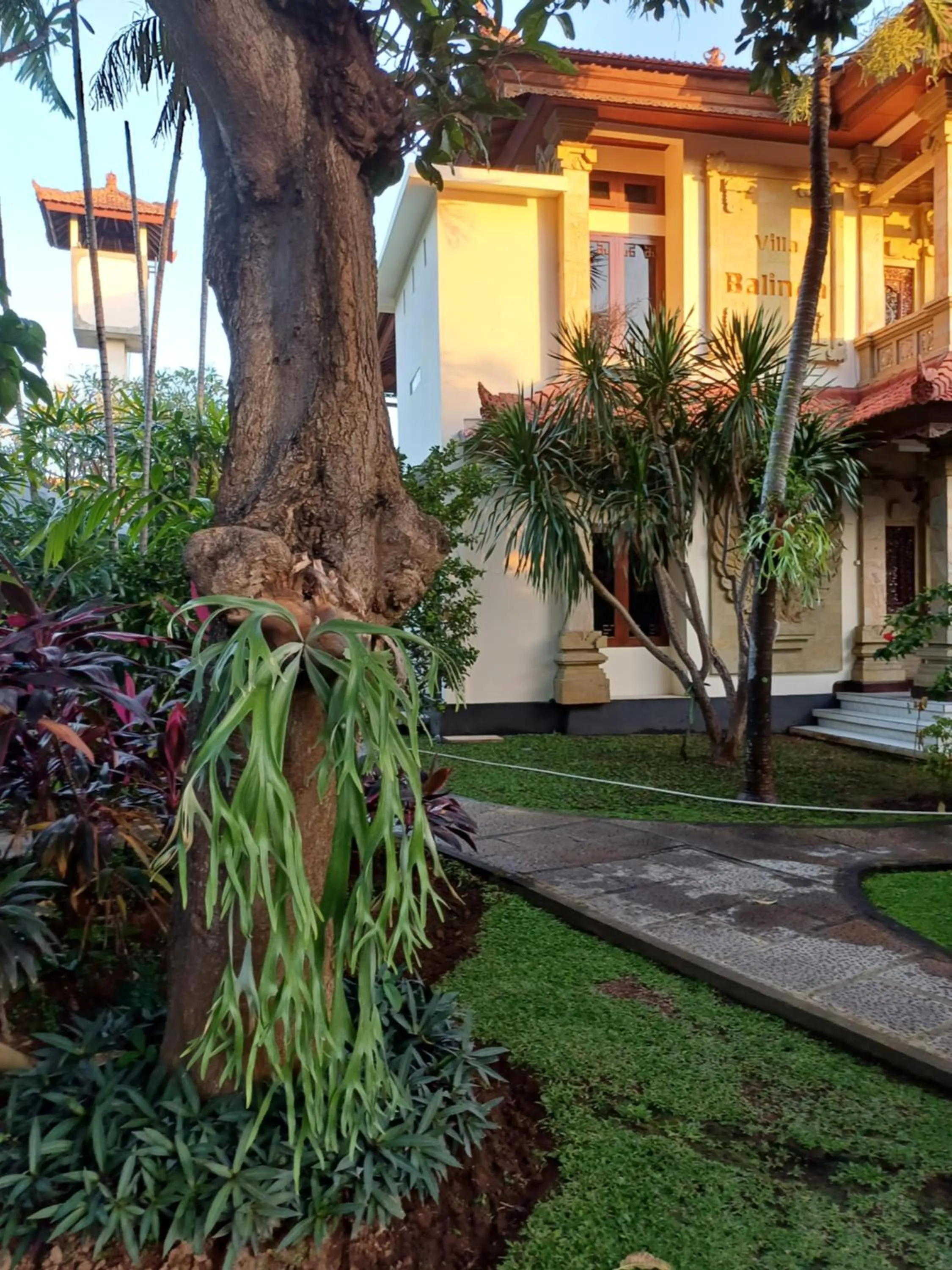 Balinda Rooms & Villa