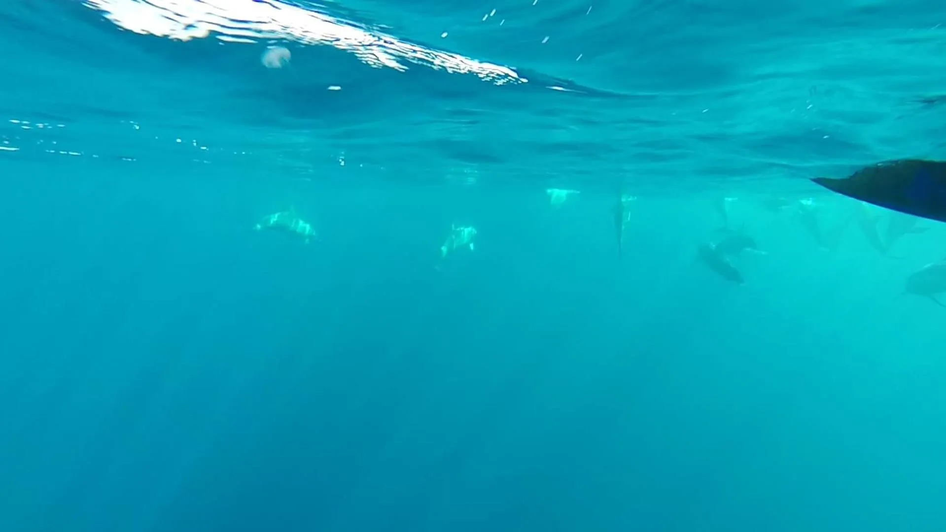 Activities in Puri Mandhara Lovina