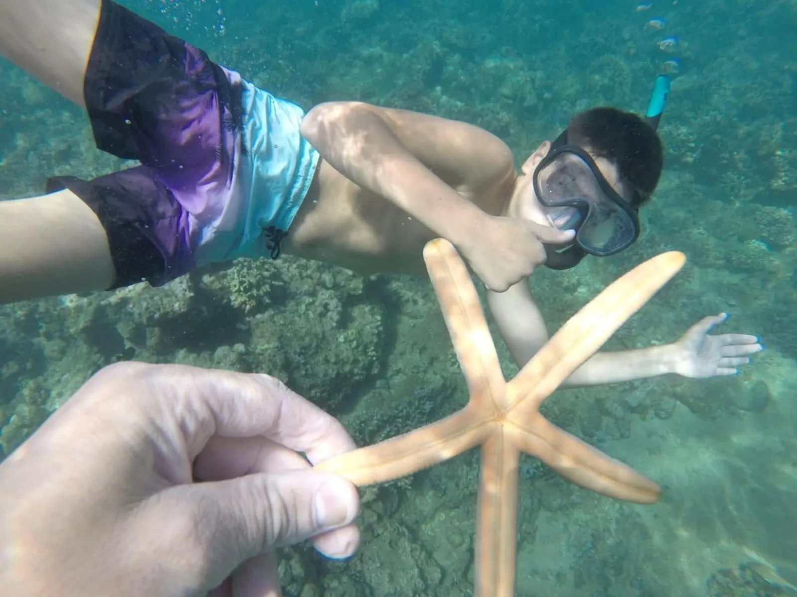 Puri Mandhara Lovina