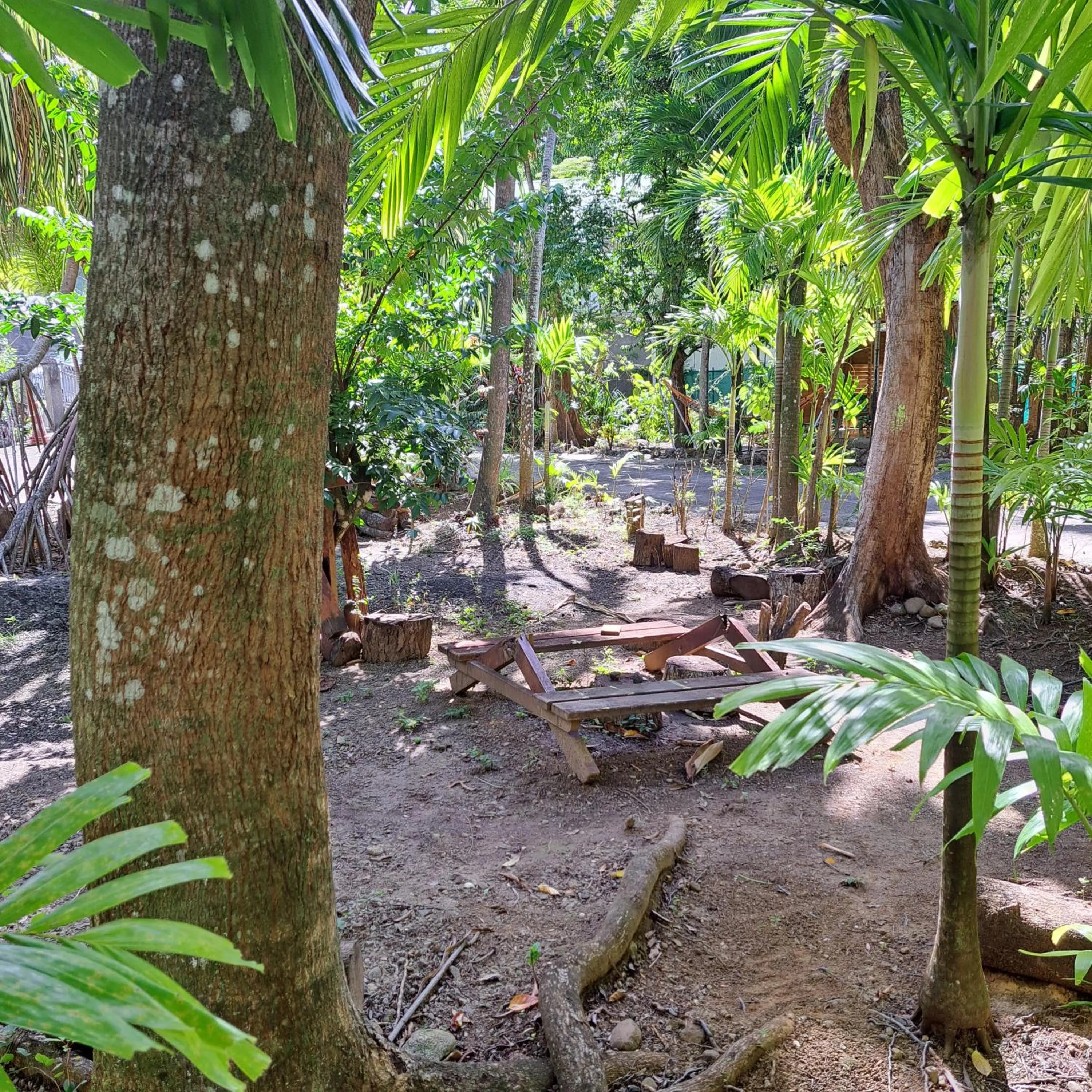 Spring in Résidence Les MANGUIERS OTANTIK