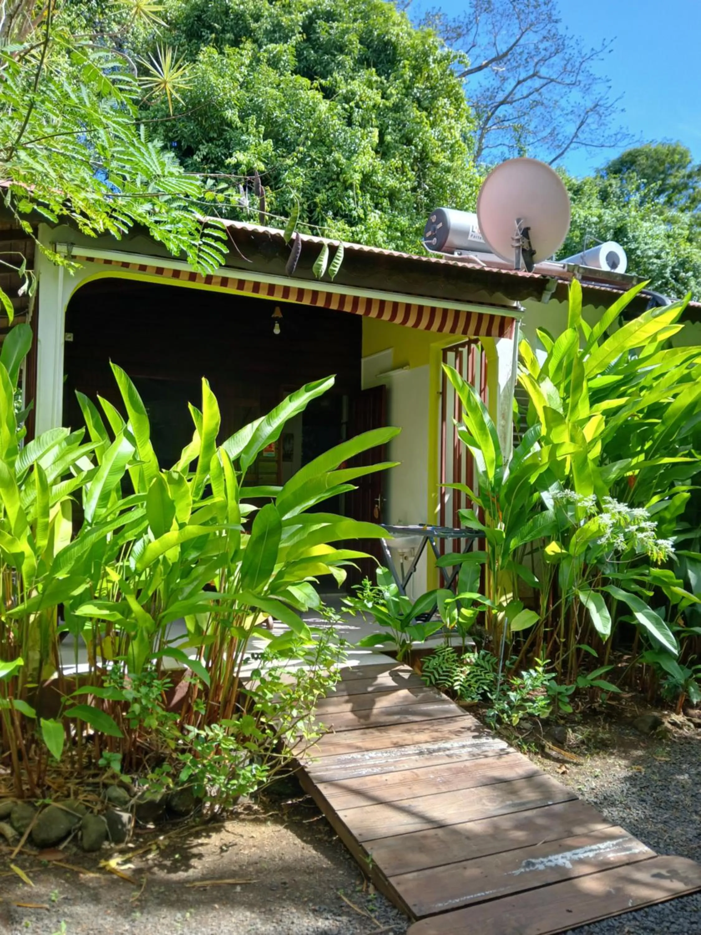 Garden in Résidence Les MANGUIERS OTANTIK