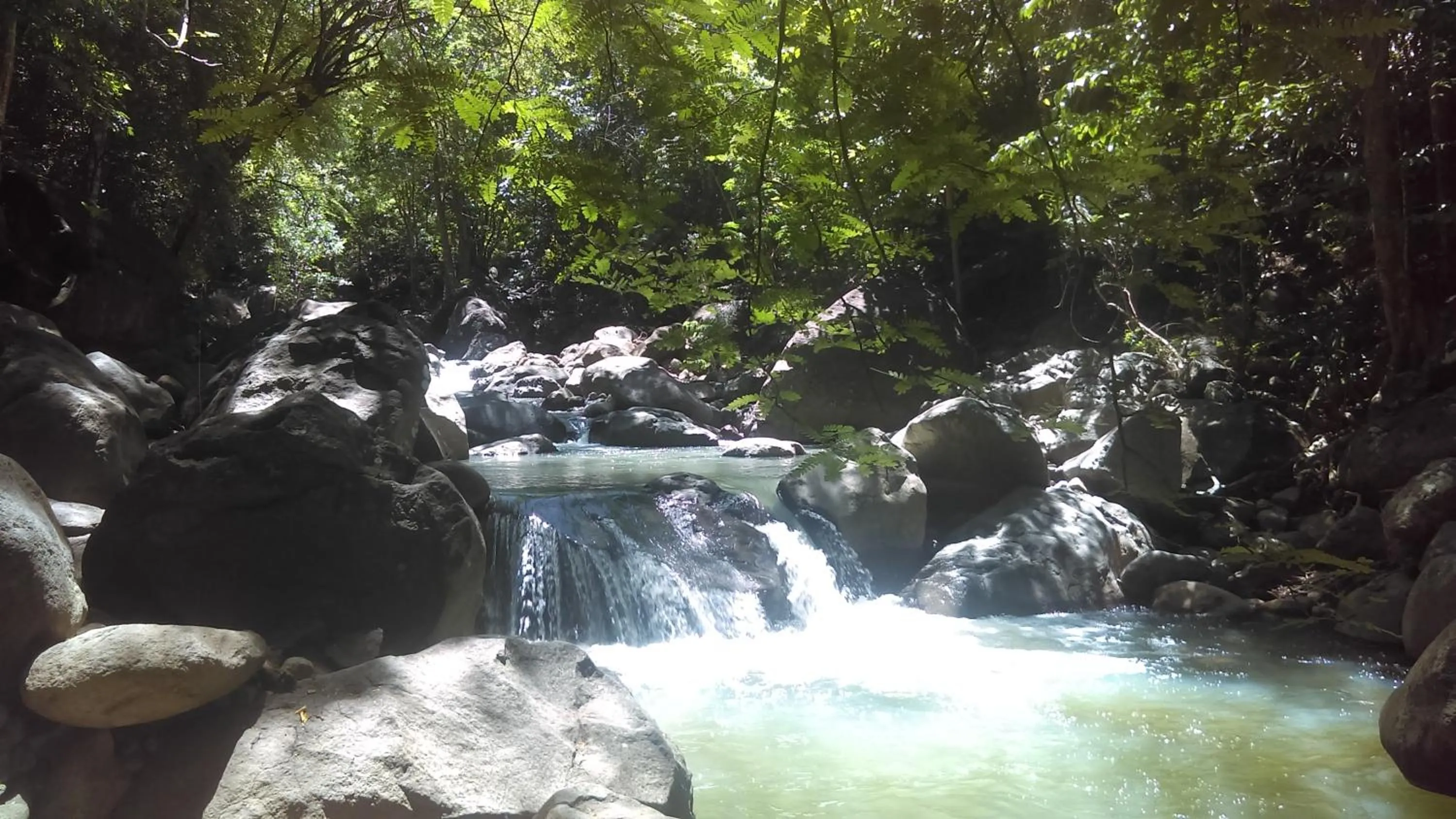 Day in Résidence Les MANGUIERS OTANTIK