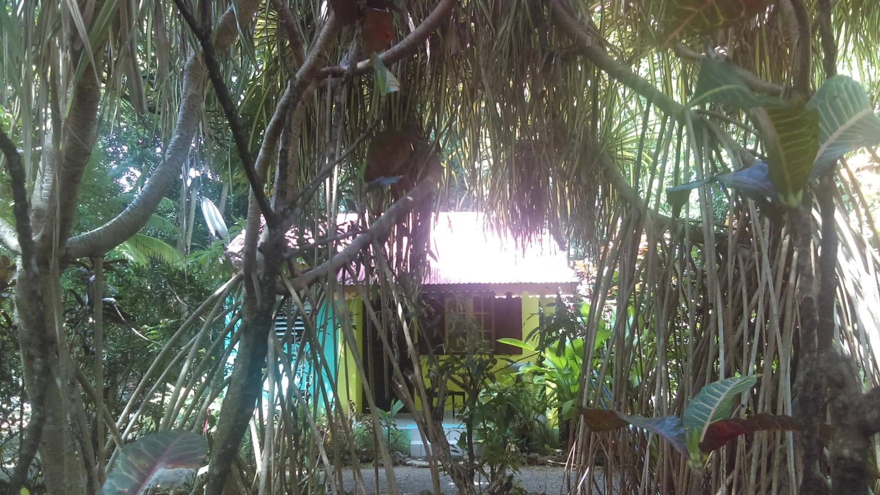 Day in Résidence Les MANGUIERS OTANTIK