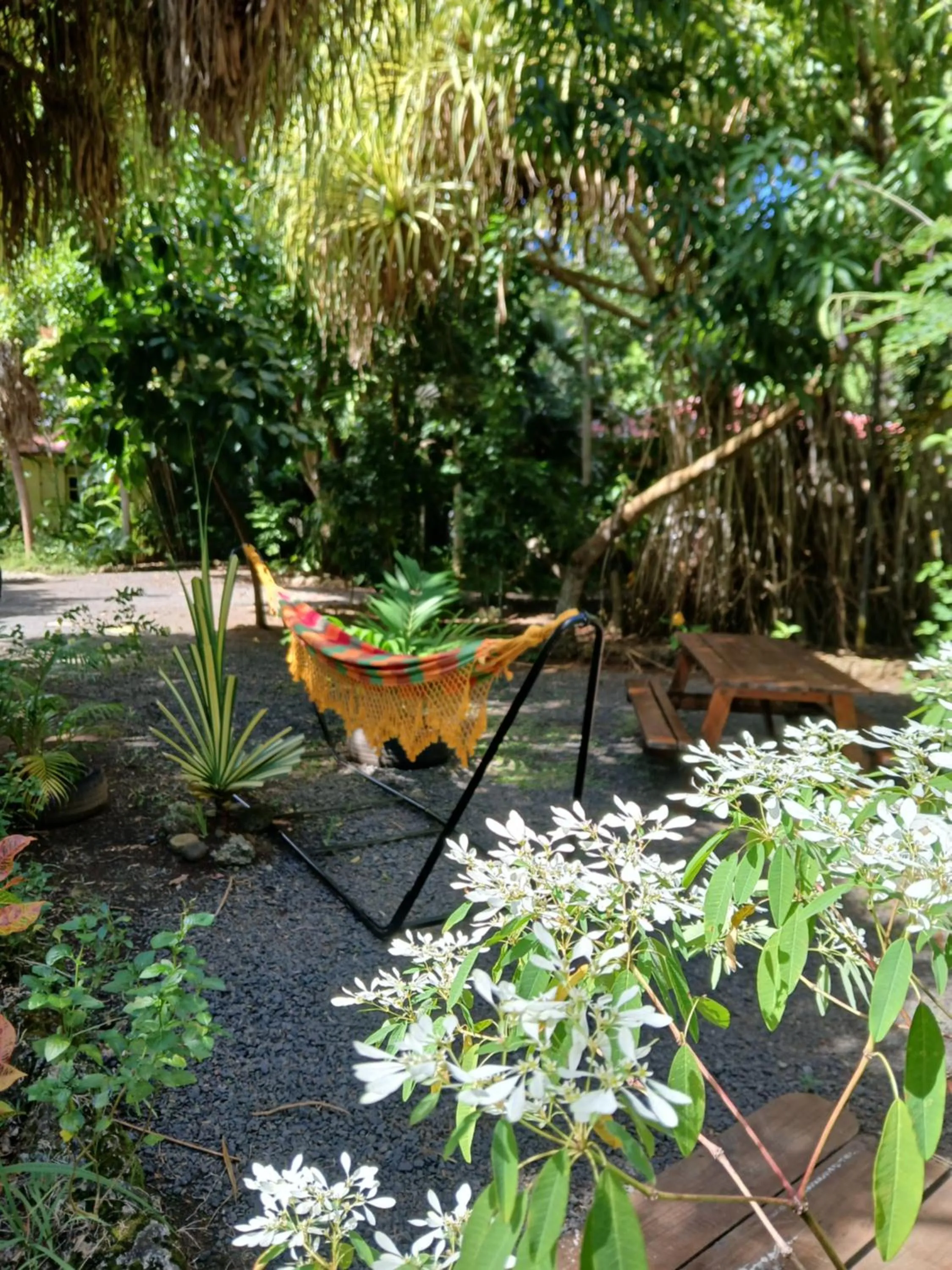 Day in Résidence Les MANGUIERS OTANTIK