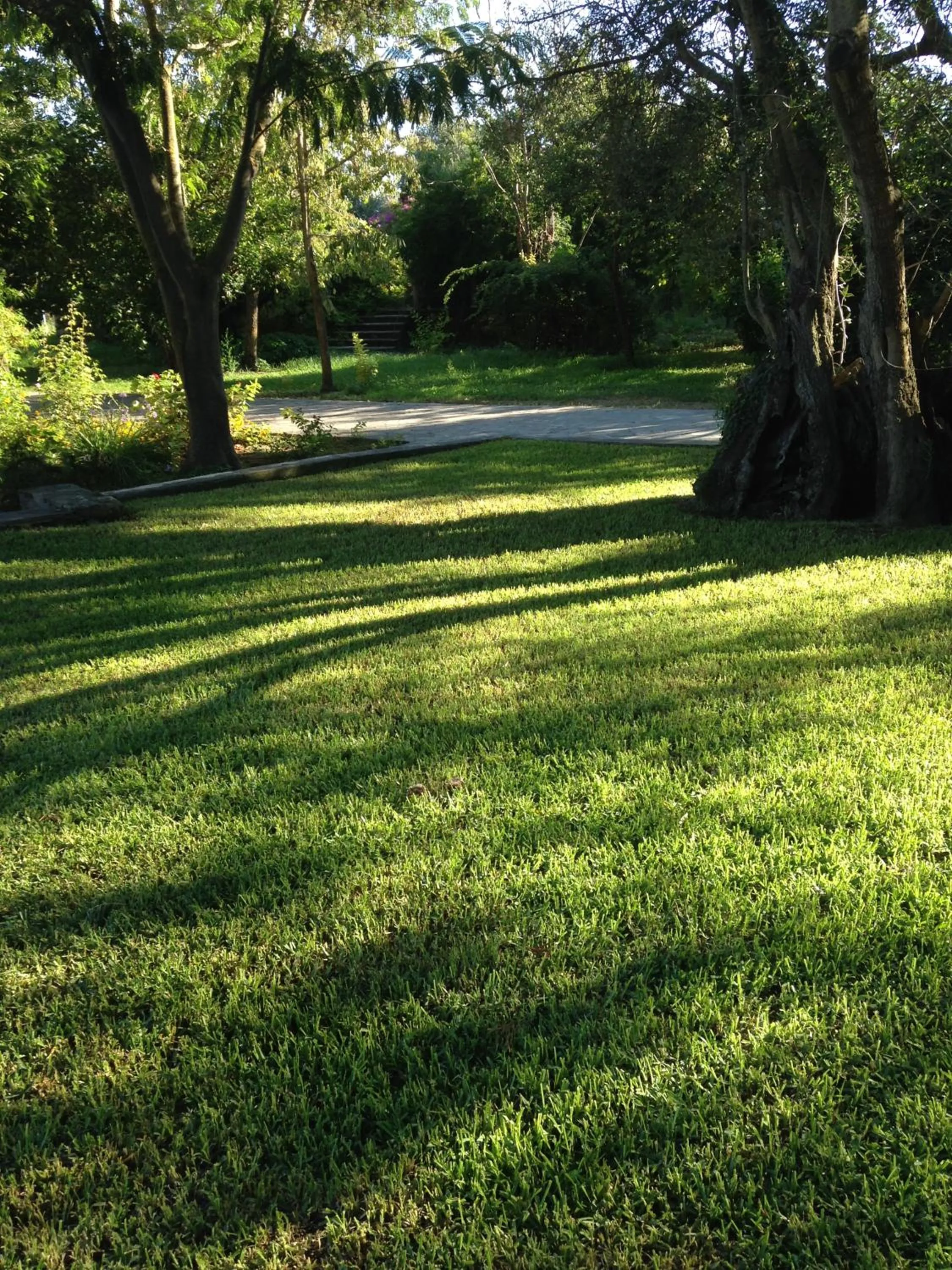 Garden in Inglessata Rose