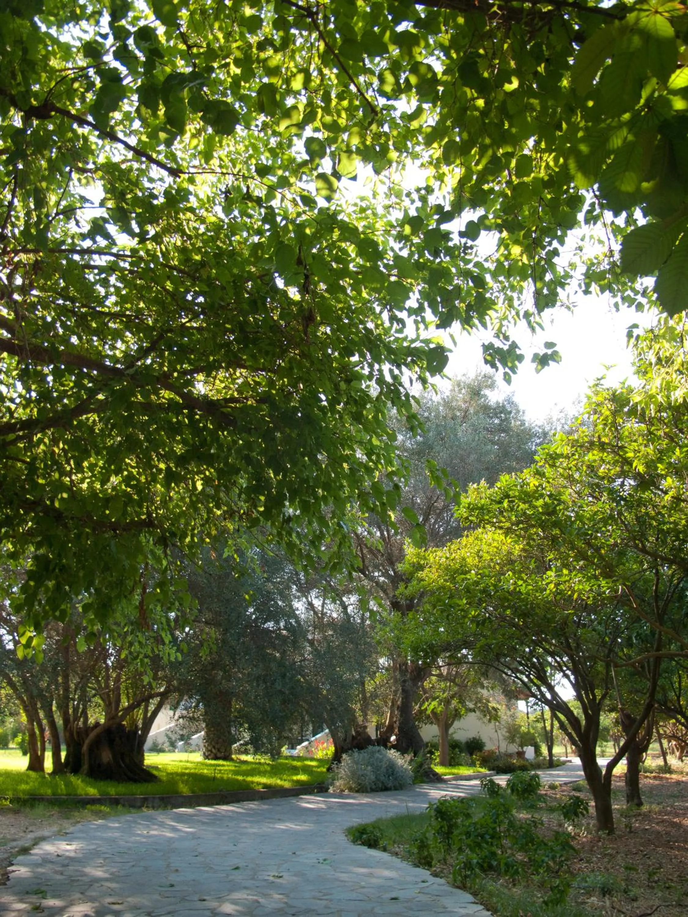 Facade/entrance in Inglessata Rose