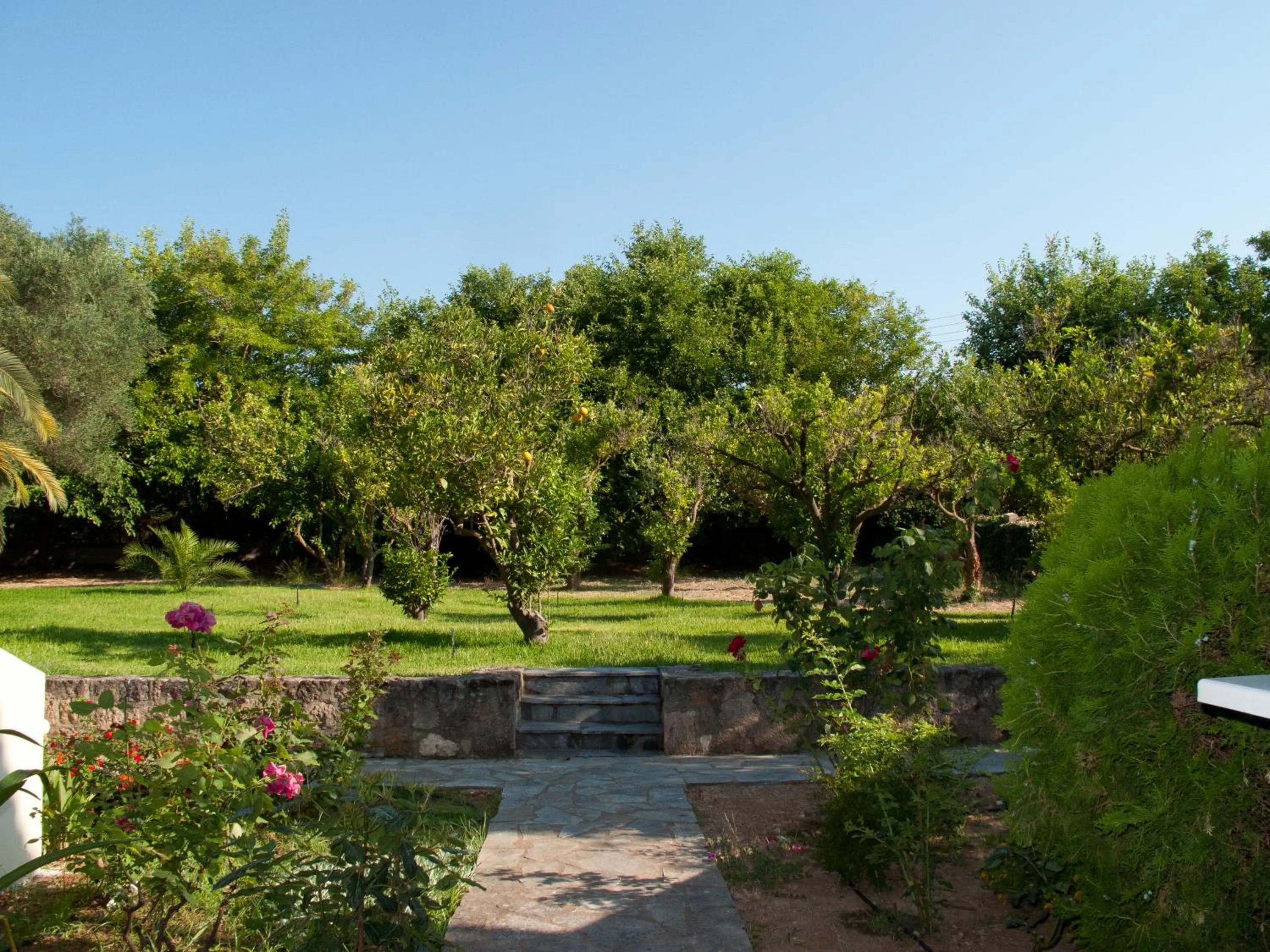 Garden in Inglessata Rose