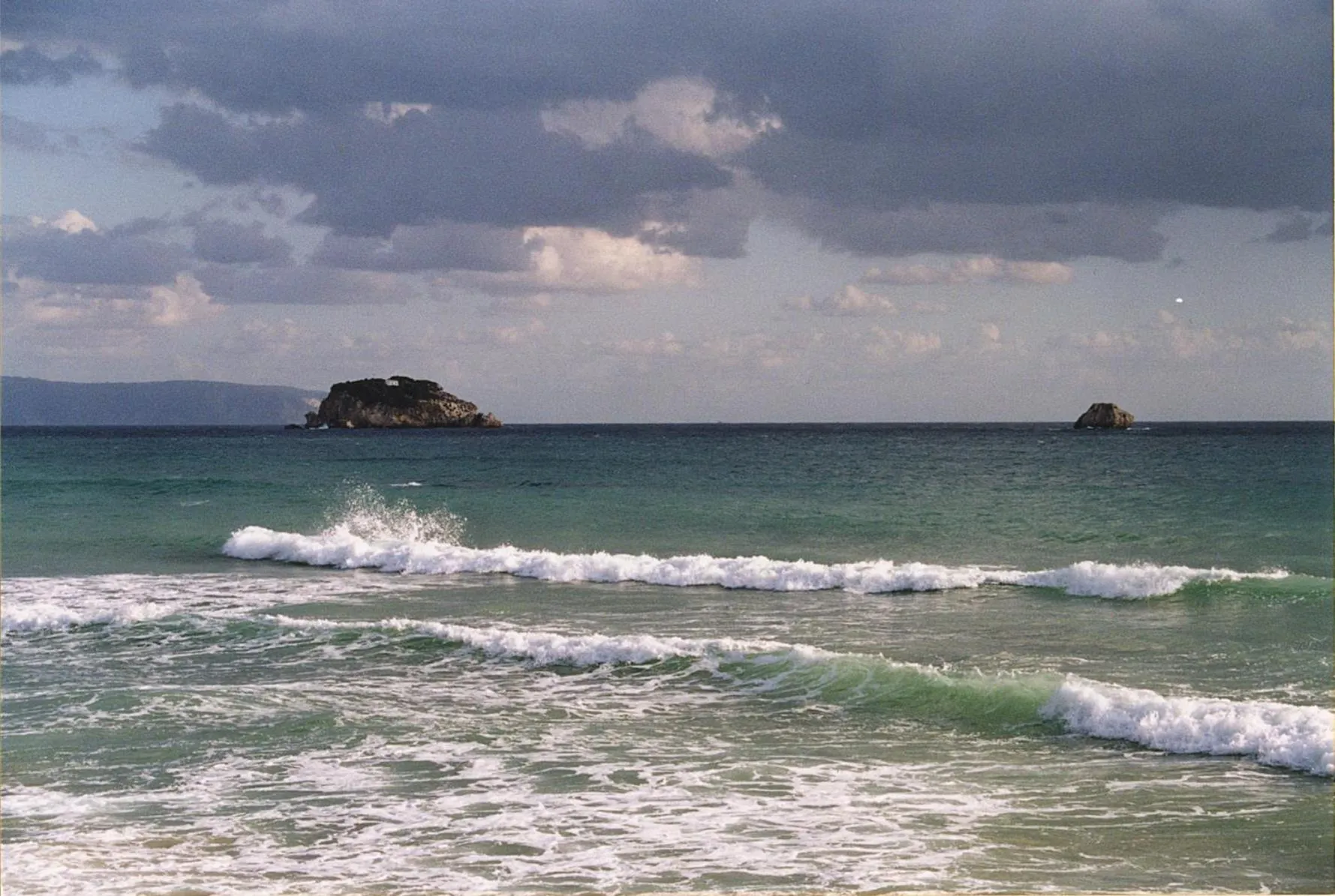 Winter in Inglessata Rose