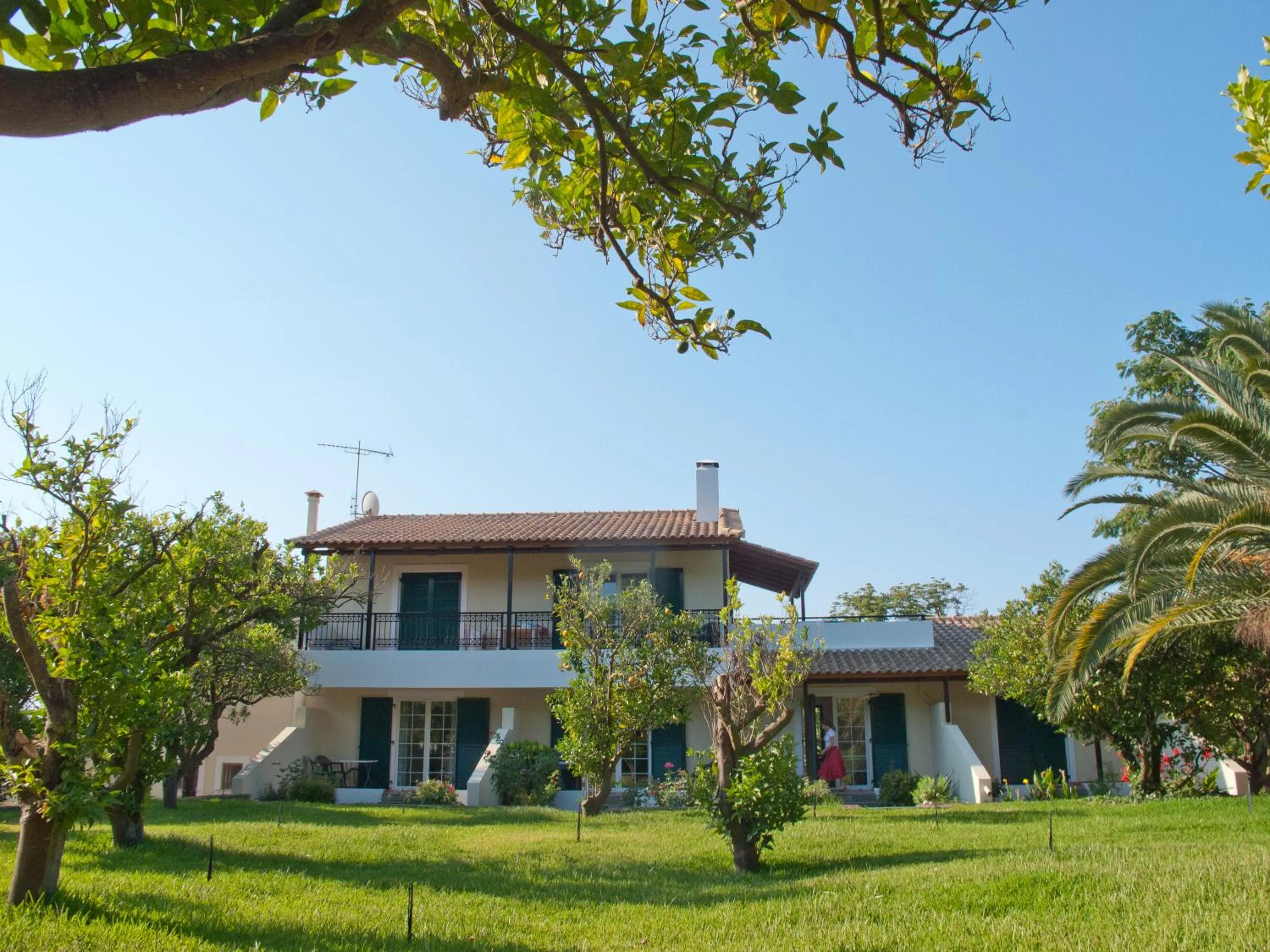 Garden in Inglessata Rose