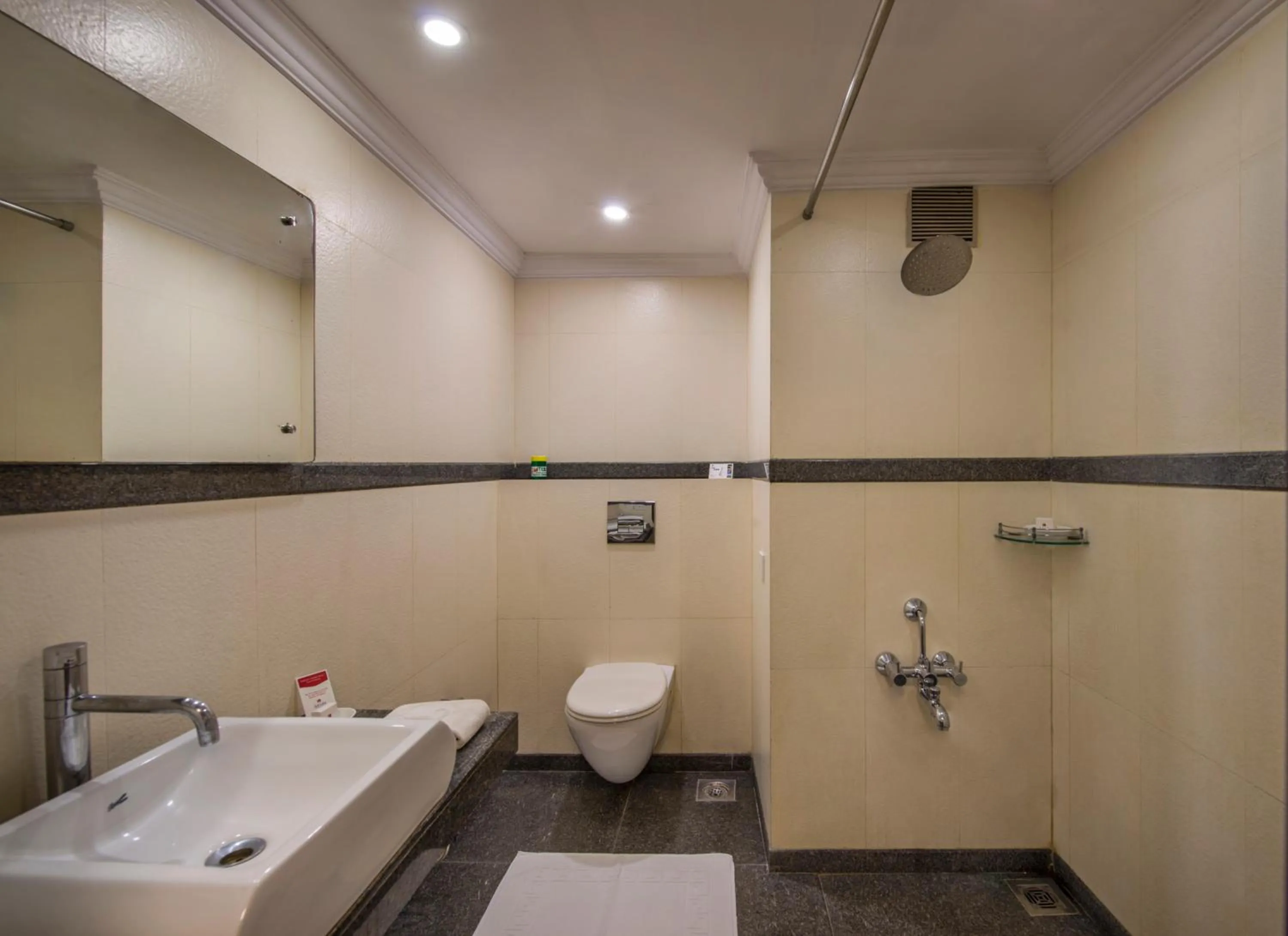 Shower in Lords Inn Vadodara