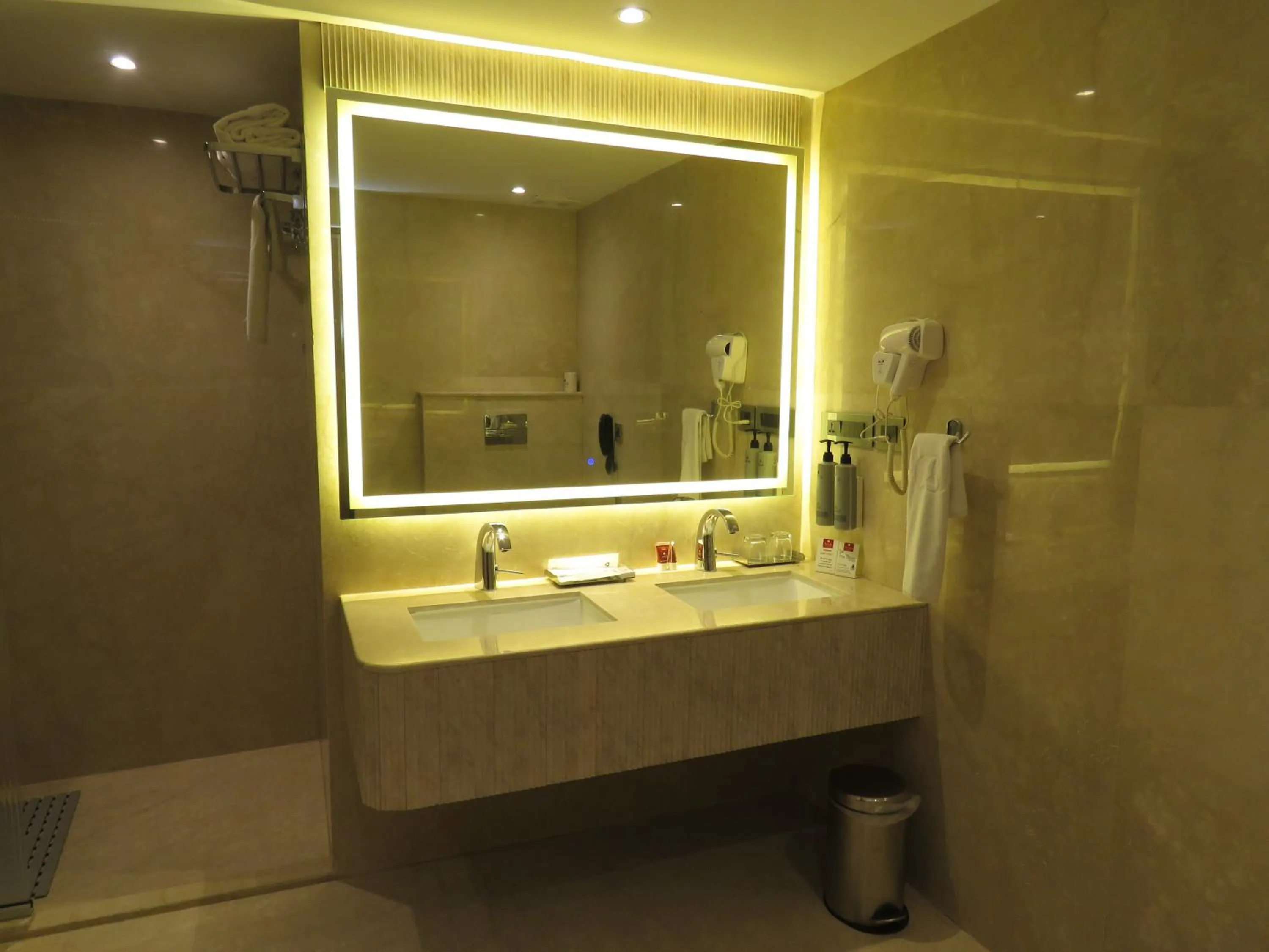 Bathroom in Lords Plaza Surat