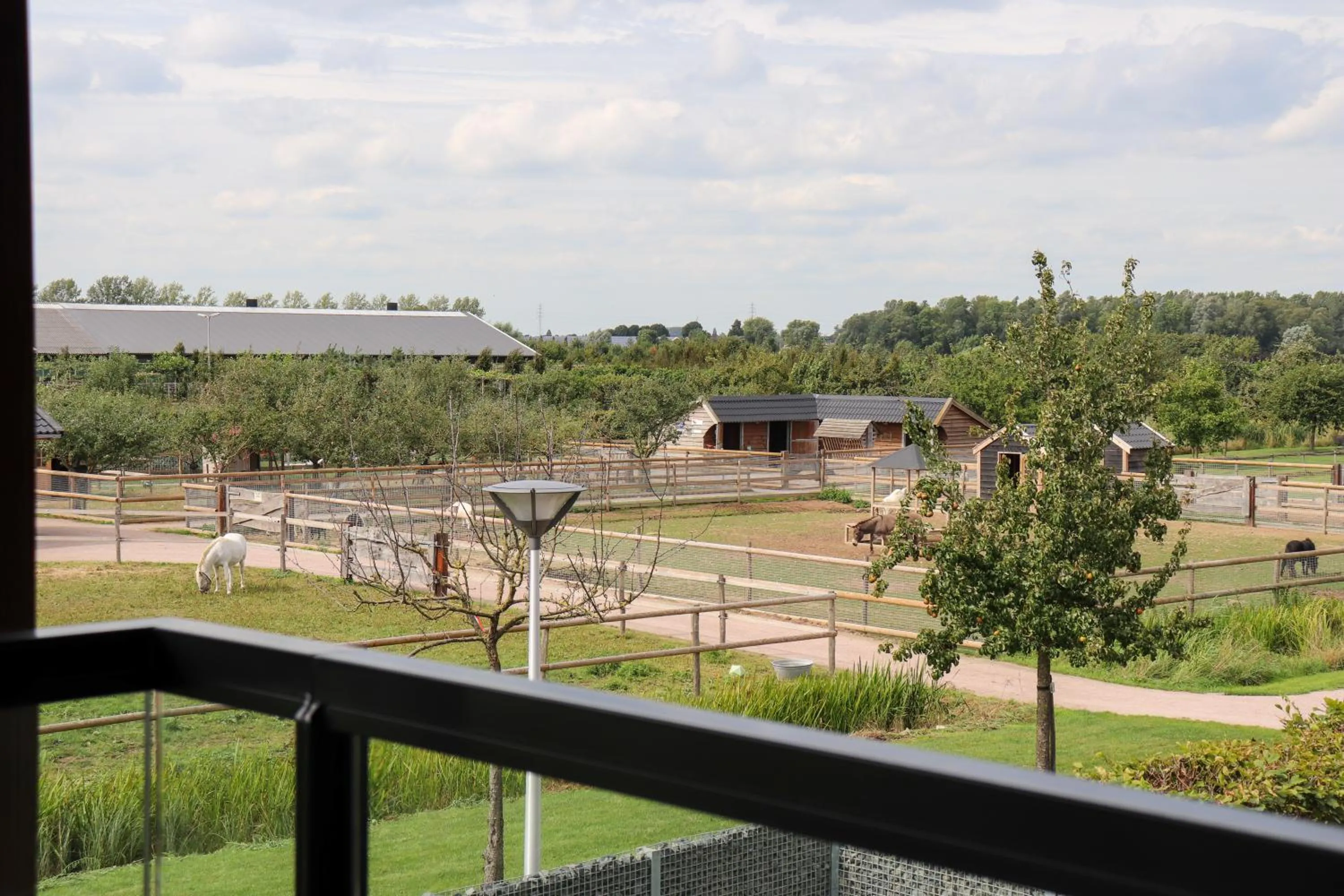 Balcony/Terrace in Fruitpark Hotel & Spa