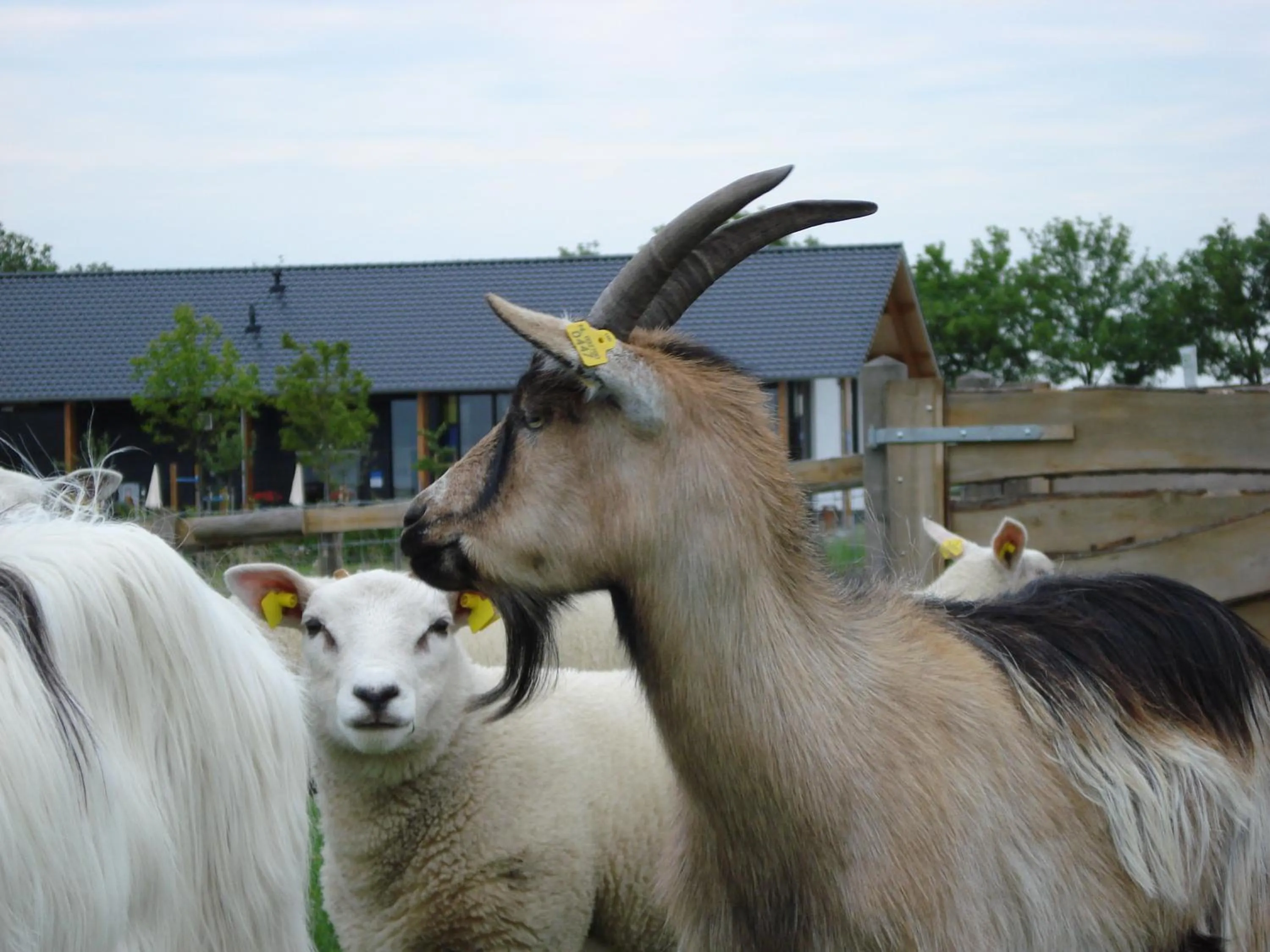 Animals in Fruitpark Hotel & Spa